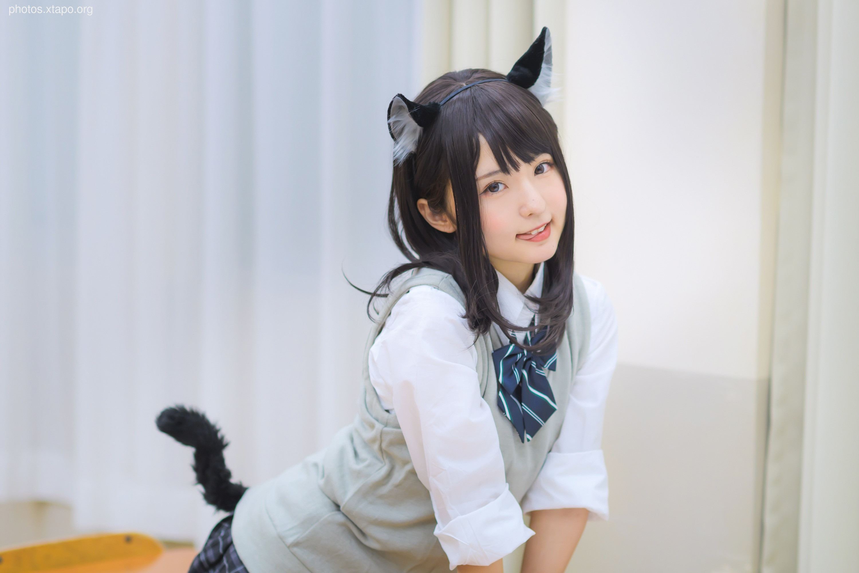 C96 Tofu Factory (Anni Tofu) mamefu Chaton