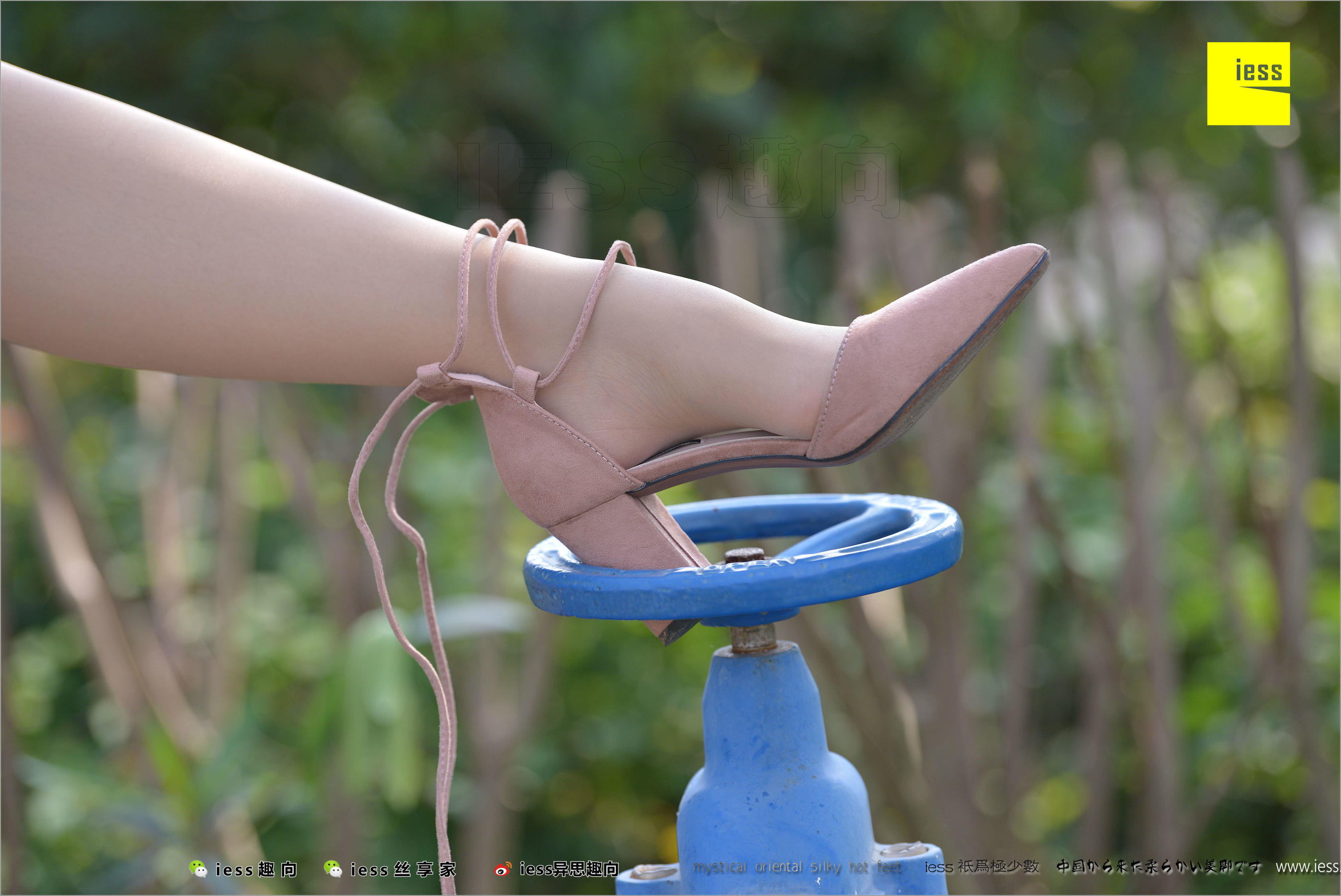 Xinyue's Foot Jian Different Thoughts to IESS Silk Foot Bento 215