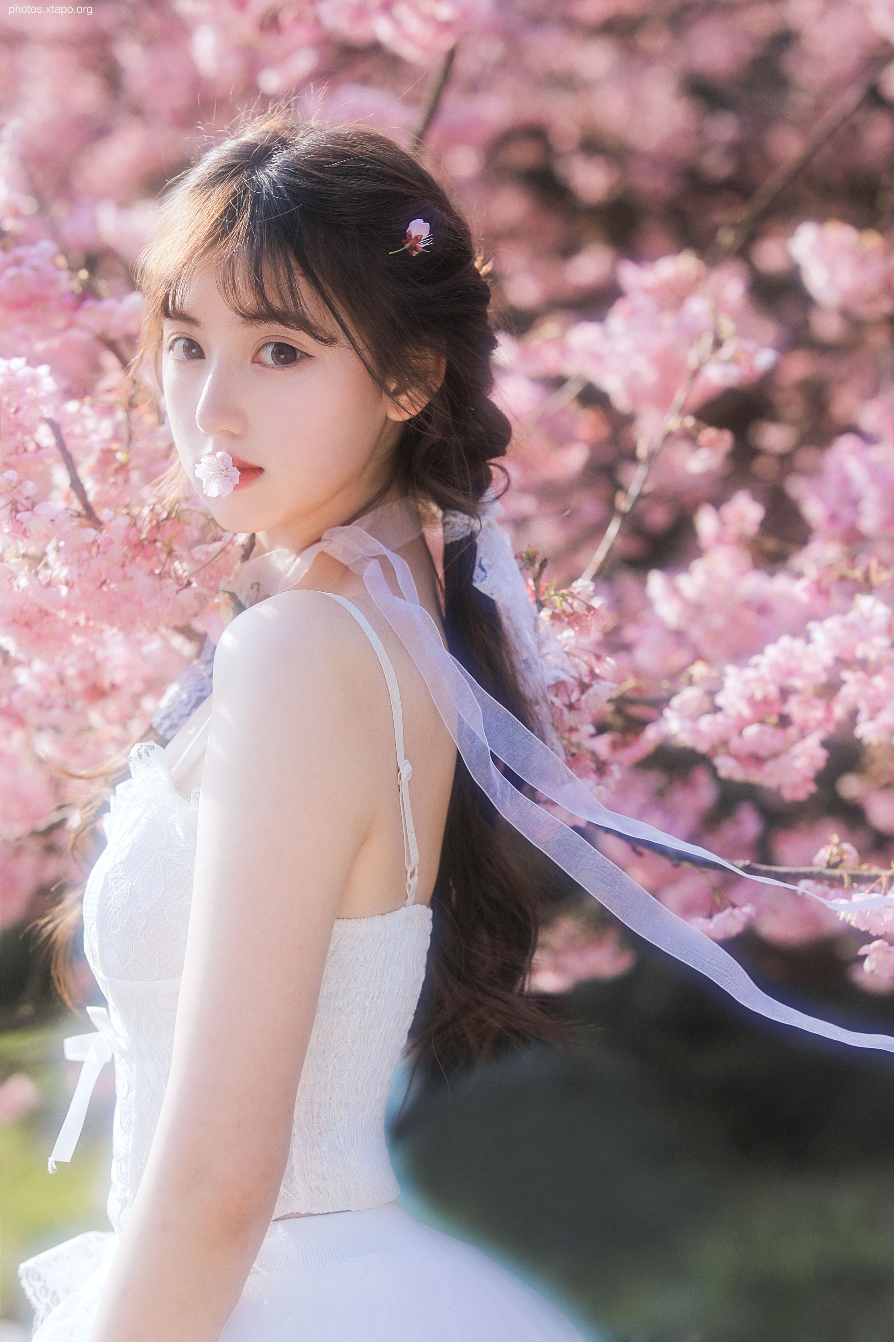 Yizi yiii cherry blossom limited