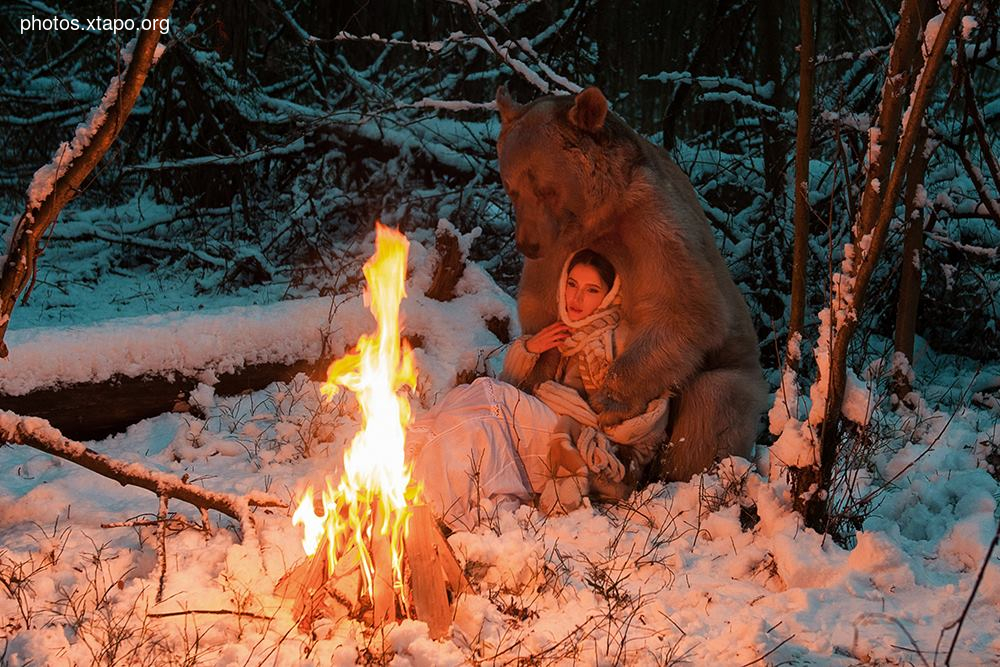 Russia nature, forest and animals by Olga Barantseva