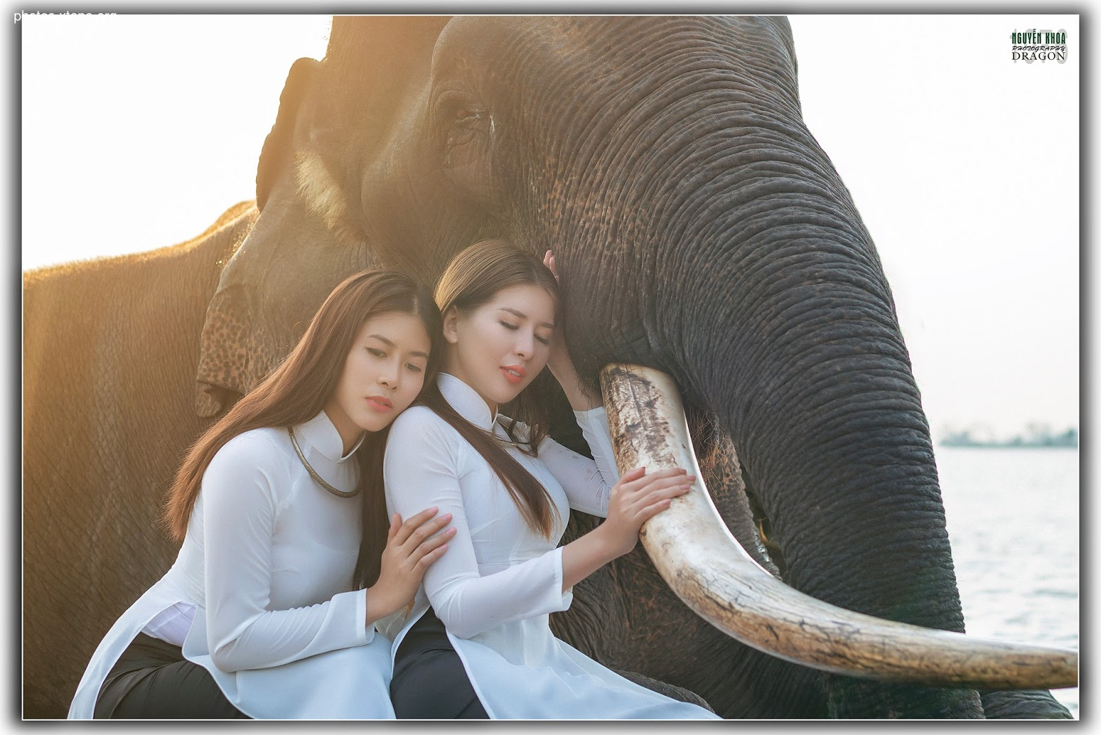 Thao Chi vs Kim Phung,