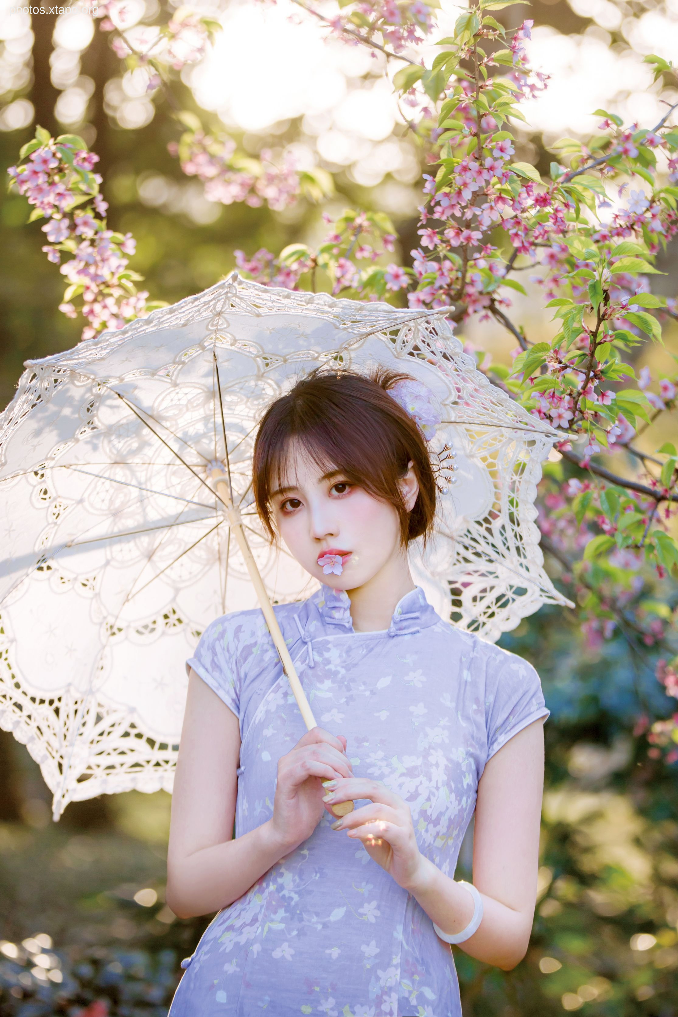 NO.026 Cheongsam 38P-377MB