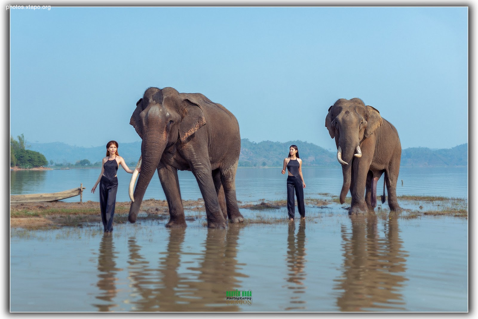 Thao Chi vs Kim Phung,