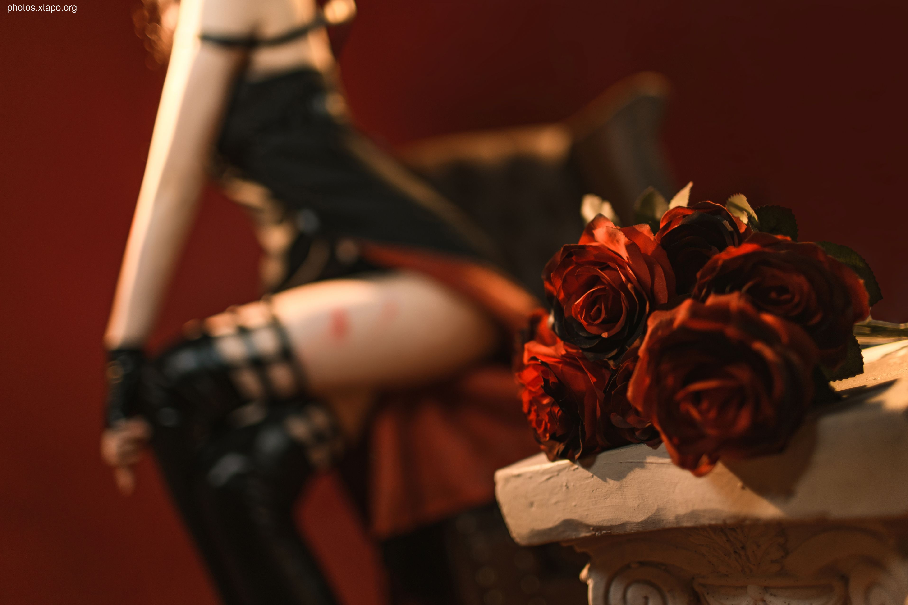 Tao Tao Meowoy (Member Resources in August 19)