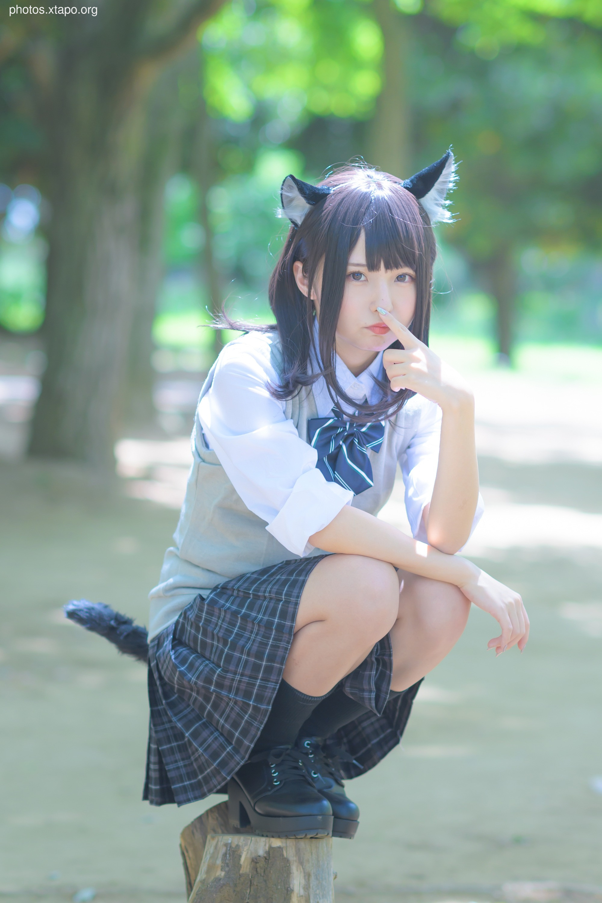 C96 Tofu Factory (Anni Tofu) mamefu Chaton