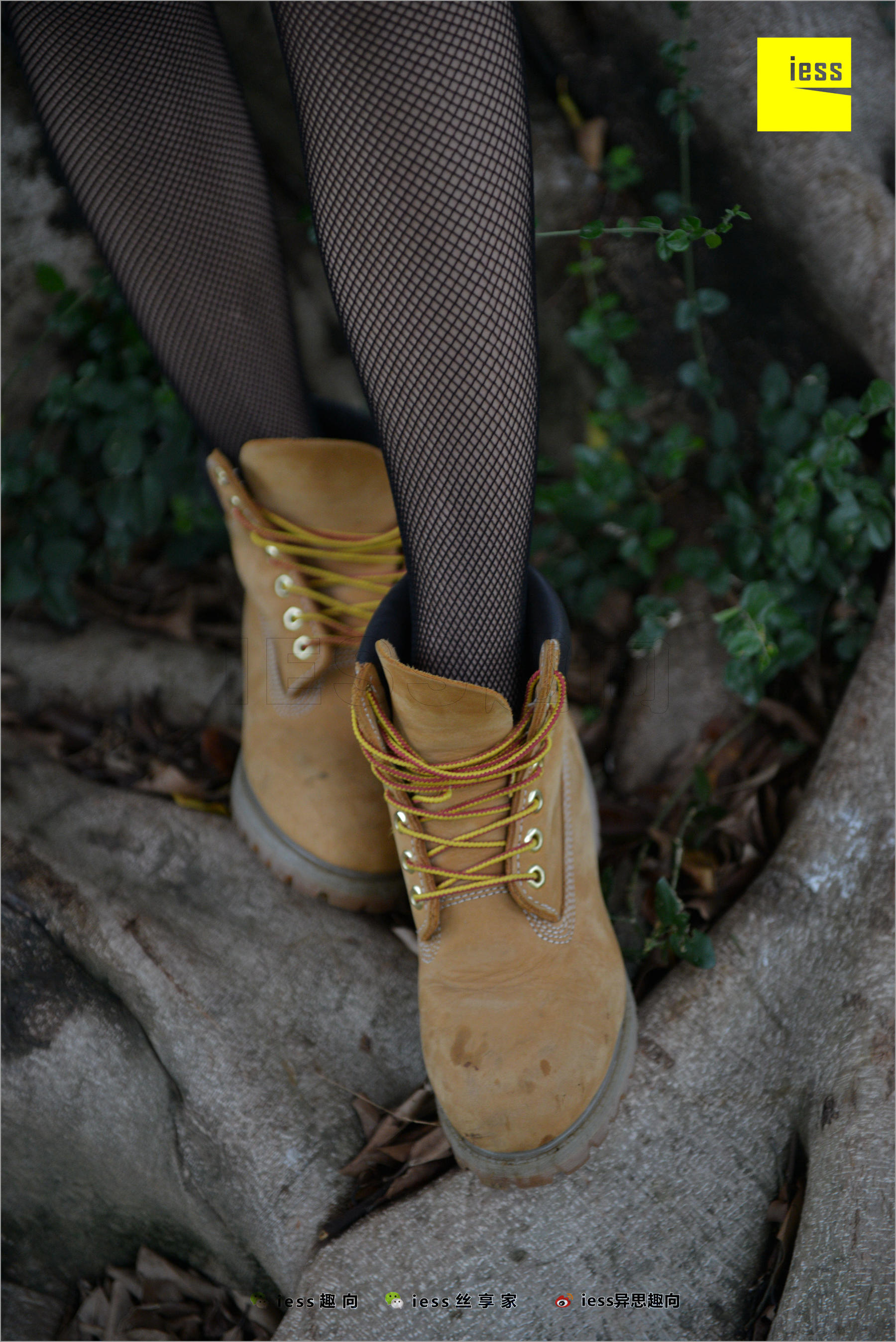 Xiaoxiao's Eye Socks that goes astray Different Thoughts to IESS Silk Foot Bento 233