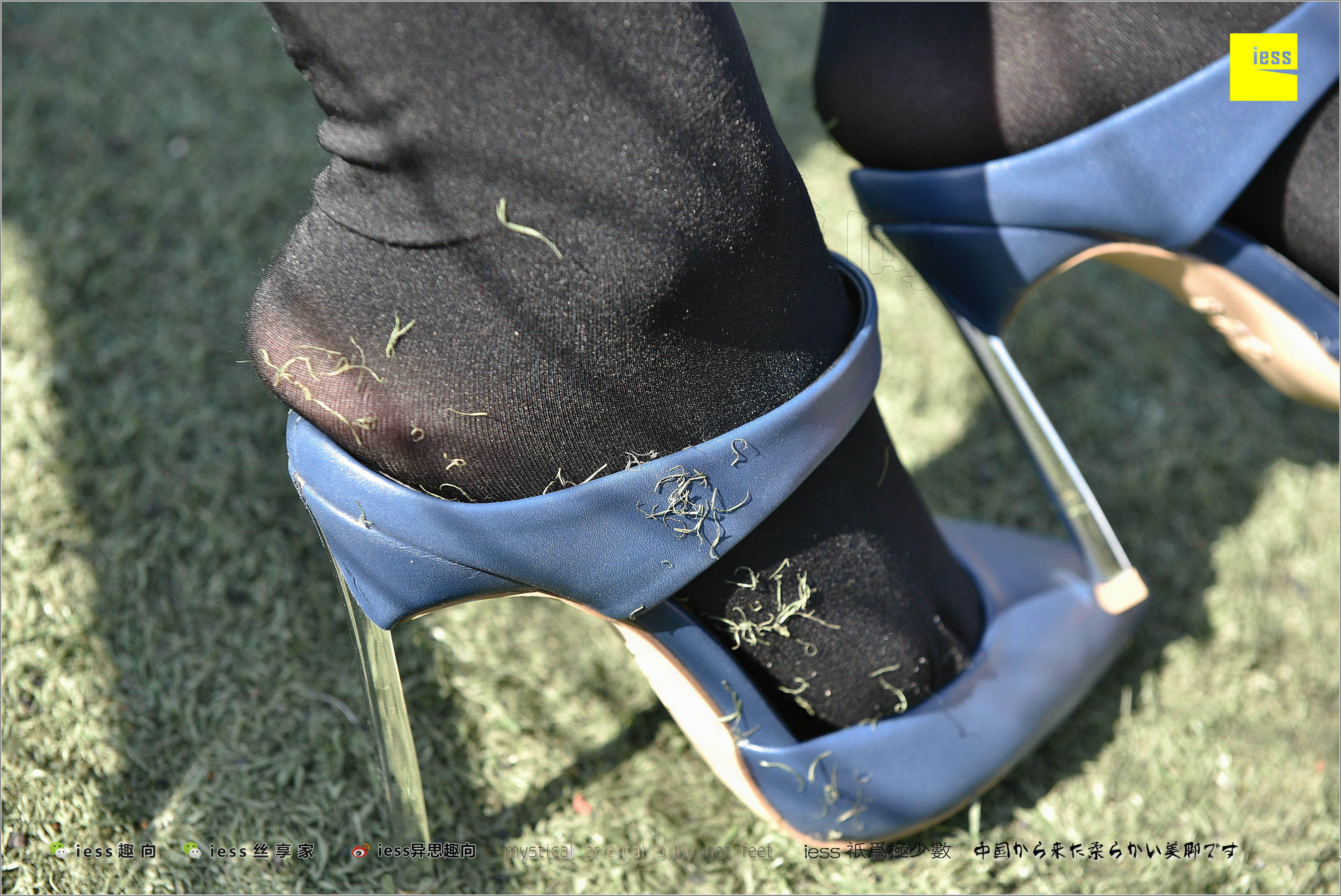 Silk Foot Bento 182 The Thick Black Silk Temptation of Thick Black Silk