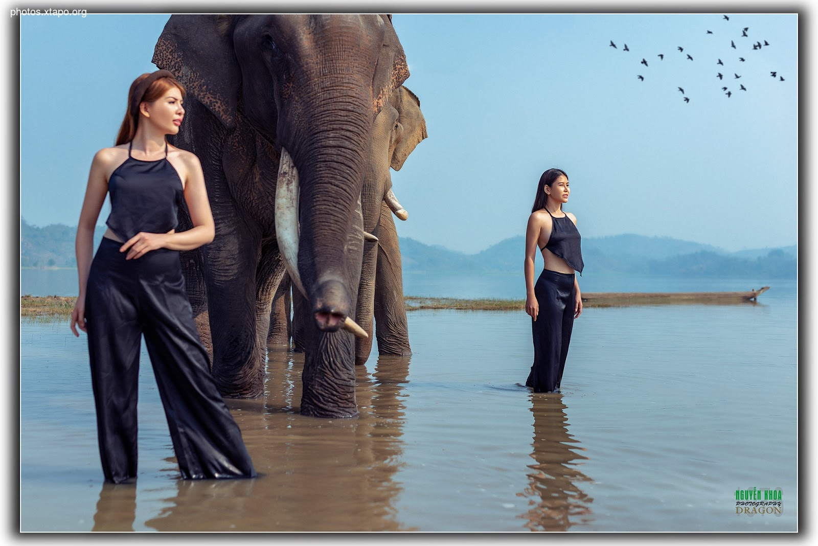 Thao Chi vs Kim Phung,