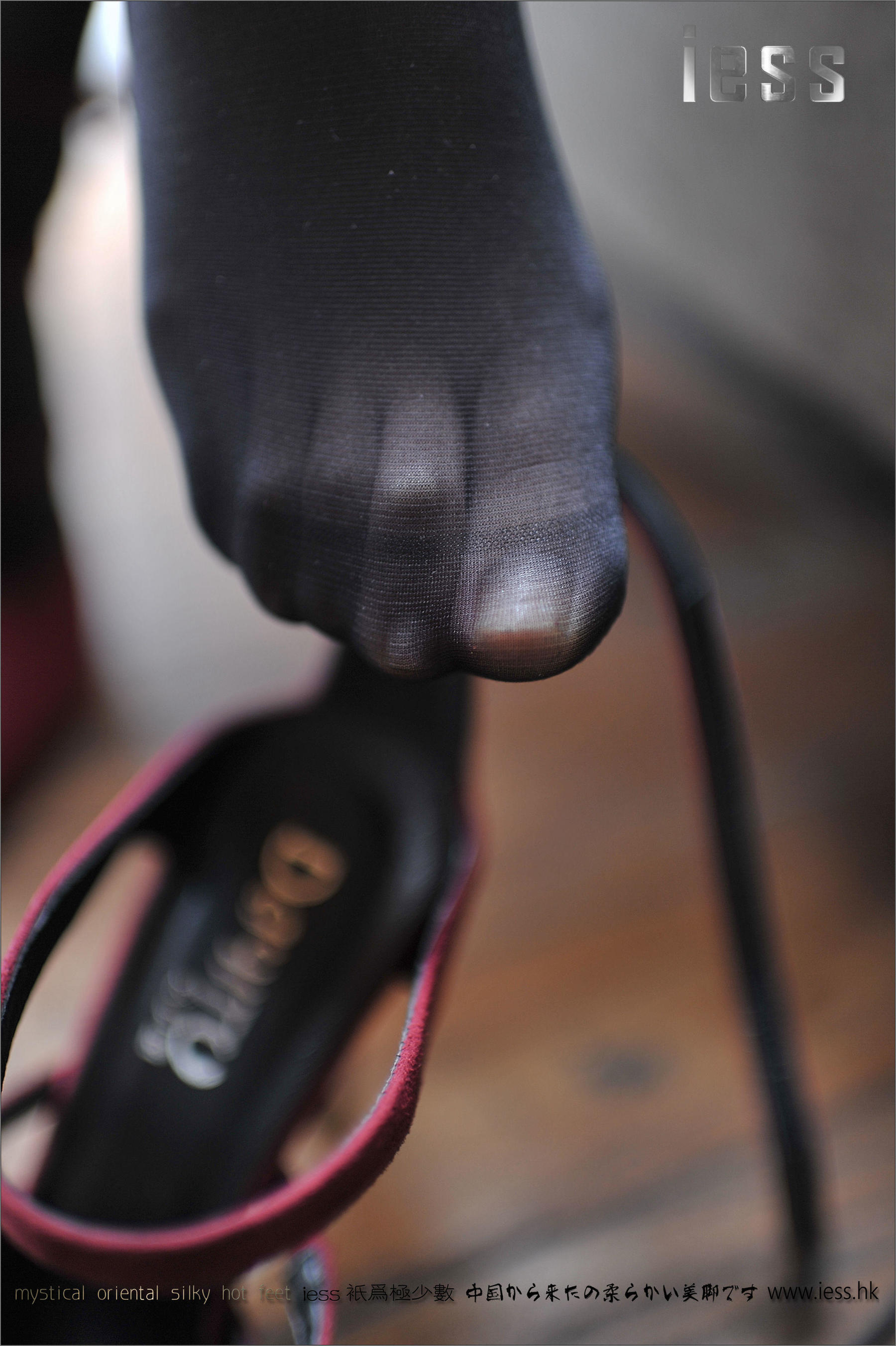 Silk Foot Bento 047 Xiaoxi Girls' Legs (Foot) IESS Thoughts and Fun