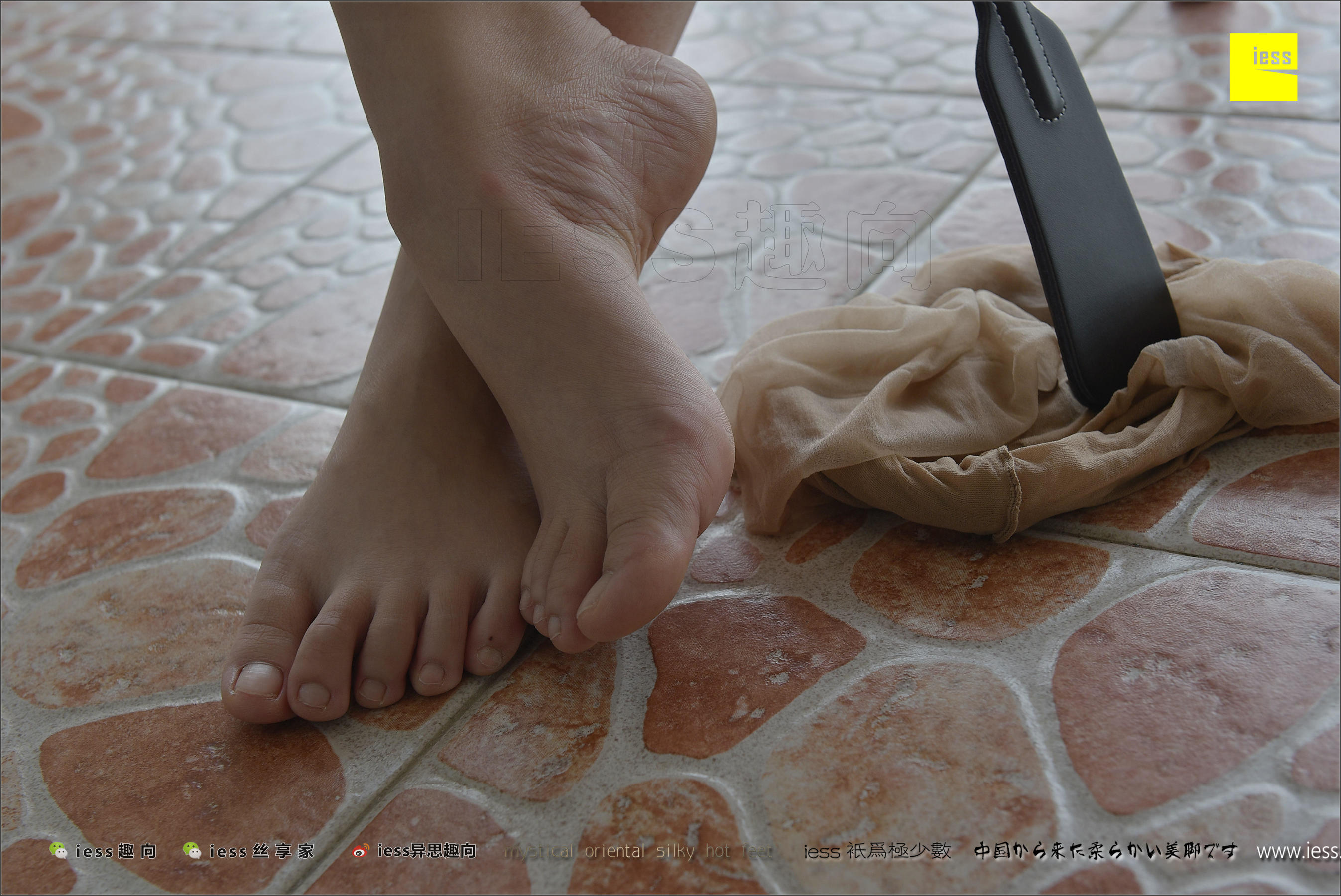 184 Zhang Foot Bento Zhang Xinyue's Contentive Frequency Music IESS Thoughts and Interesting