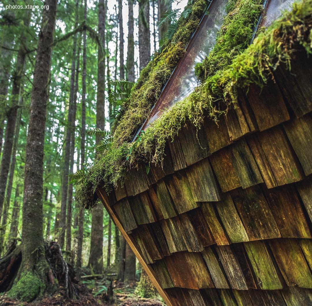 Building a wonderland of artisan cabins nestled in the PNW rainforest by Jacob Witzling & Sara Underwood