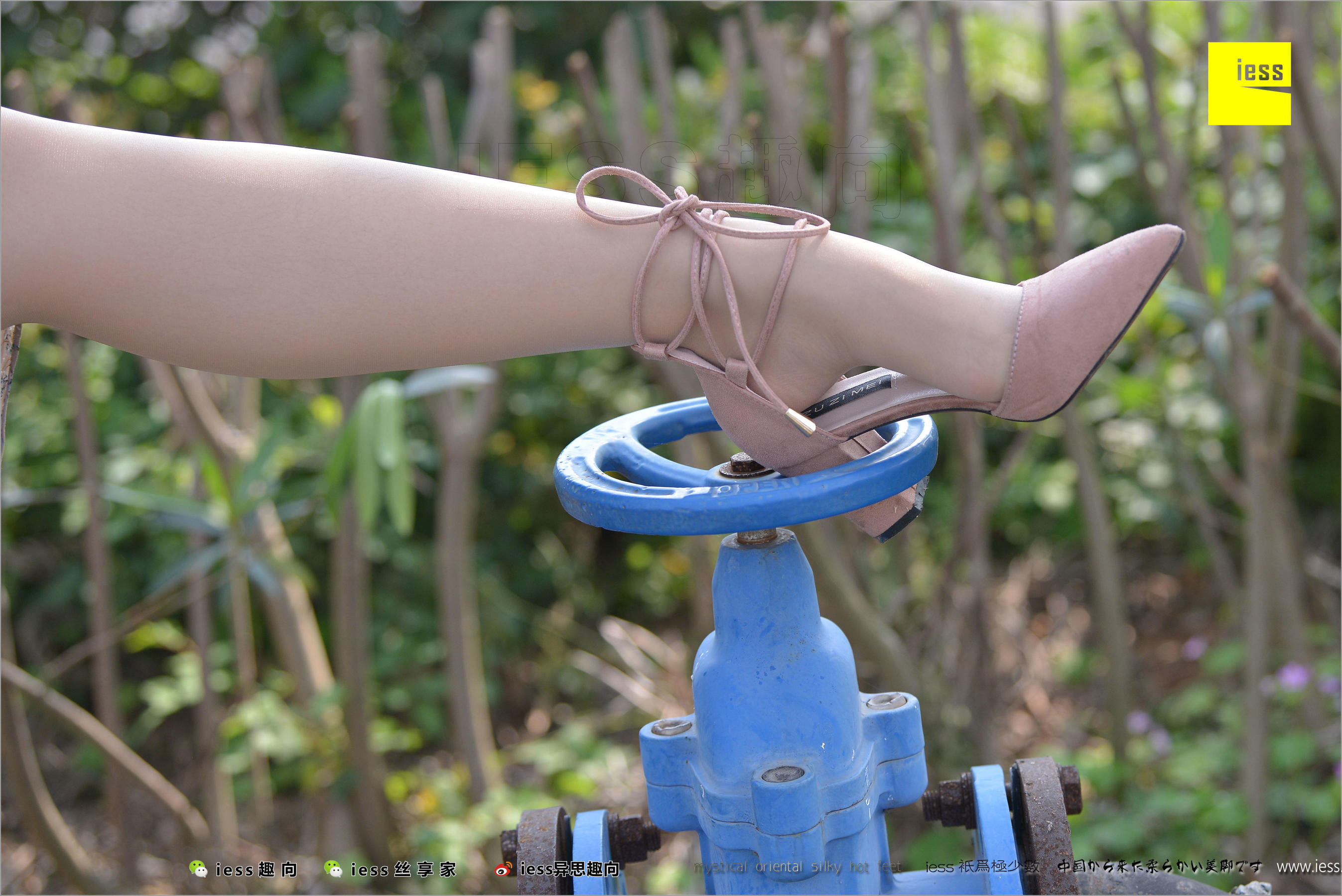 Xinyue's Foot Jian Different Thoughts to IESS Silk Foot Bento 215