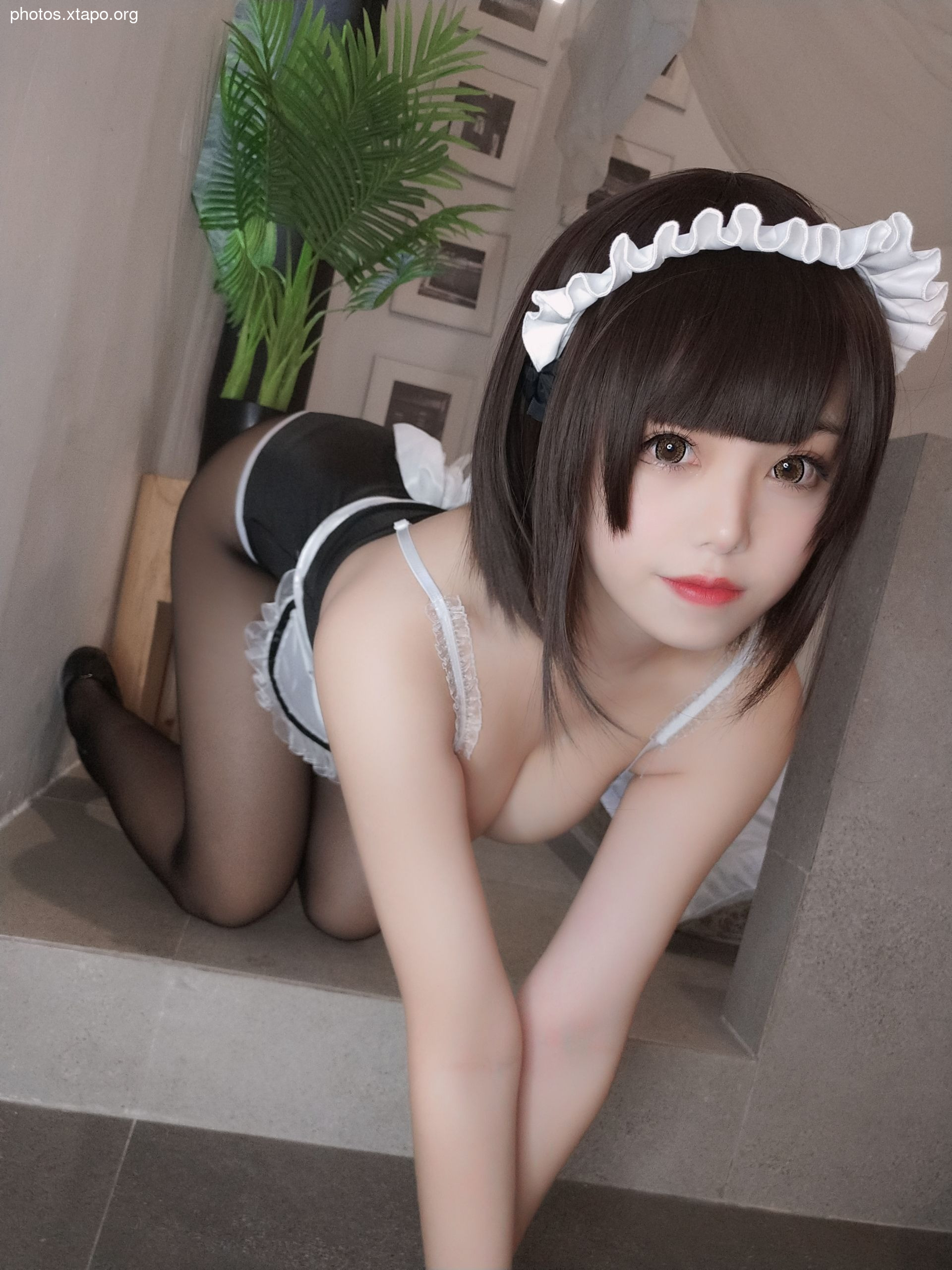 Honey juice cat Qiu NO.054 maid 42P4V-183MB