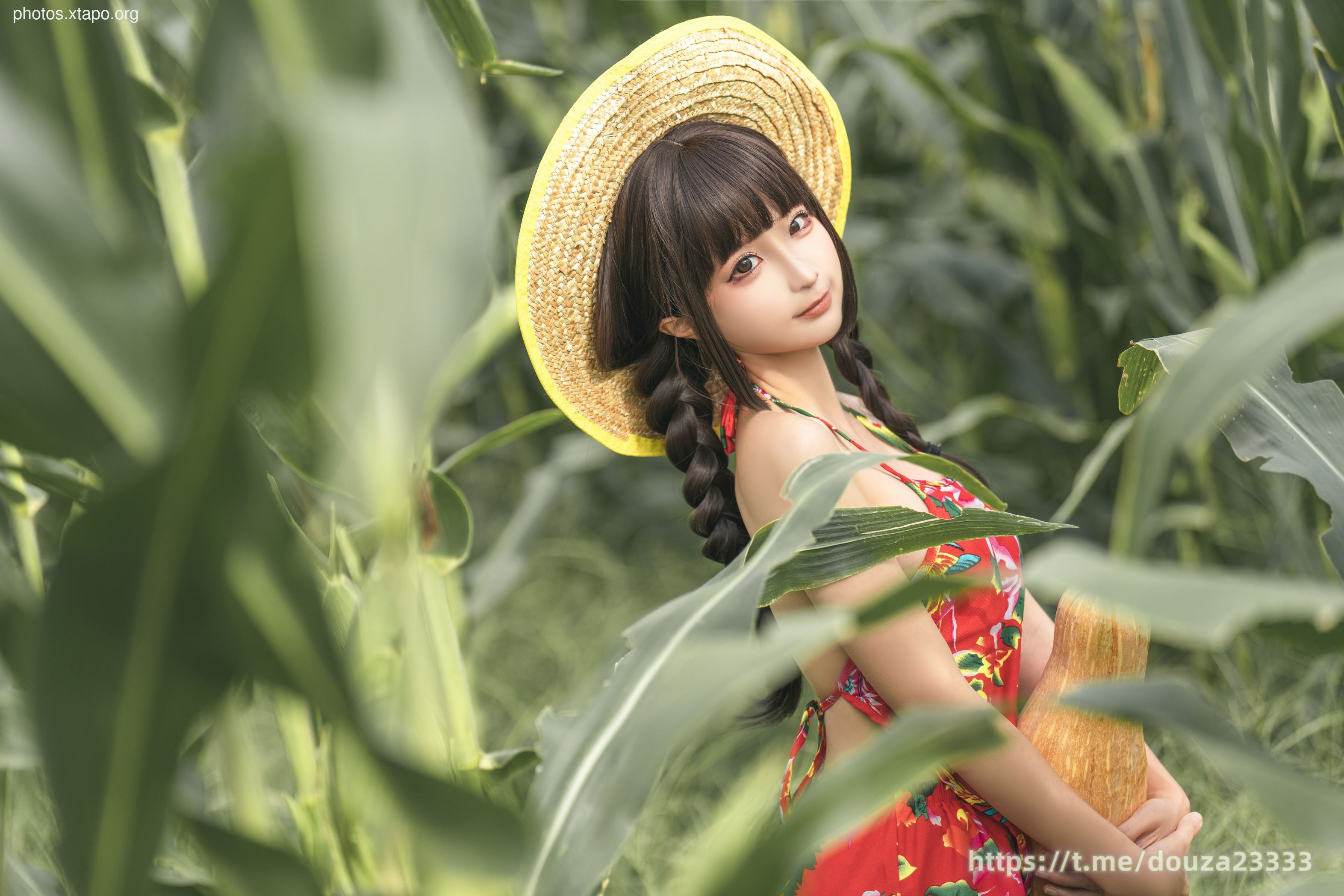 Story of Stupid Momo Rice Land (September 11th Member Resources)