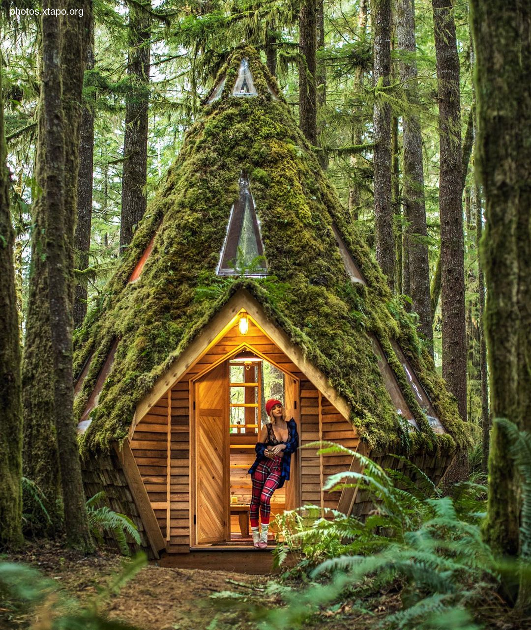 Building a wonderland of artisan cabins nestled in the PNW rainforest by Jacob Witzling & Sara Underwood