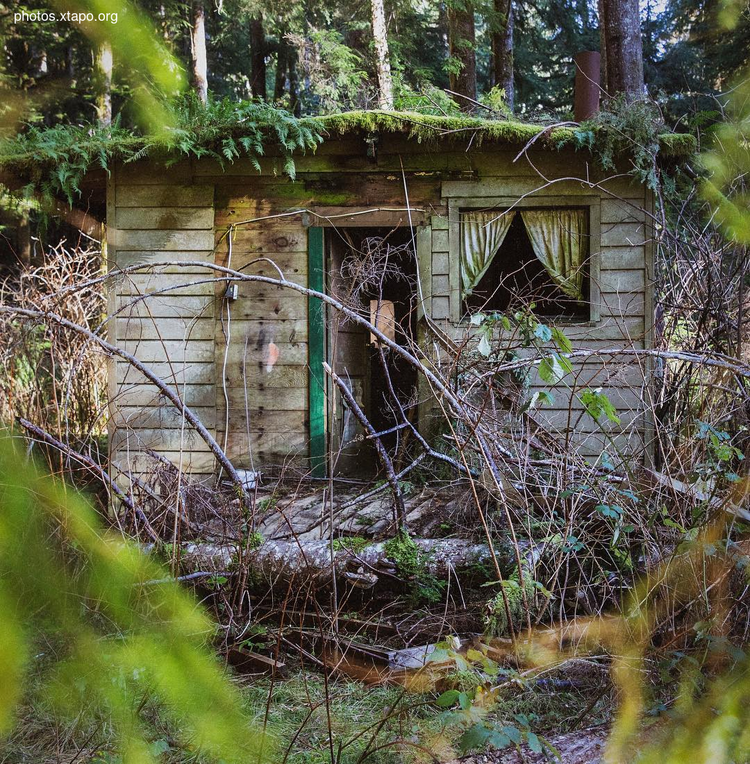 Building a wonderland of artisan cabins nestled in the PNW rainforest by Jacob Witzling & Sara Underwood