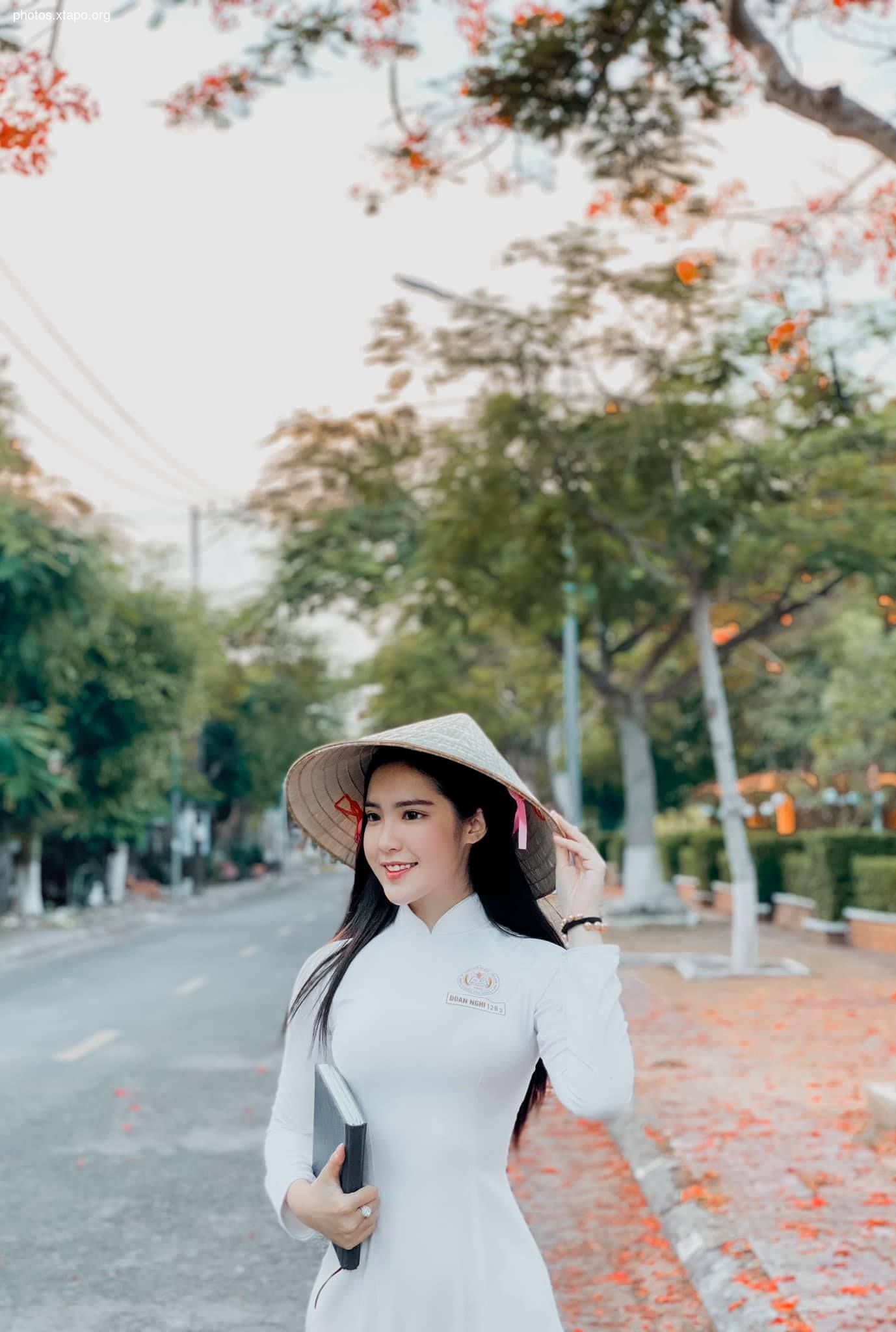 Dinh Trieu Doan Nghi,