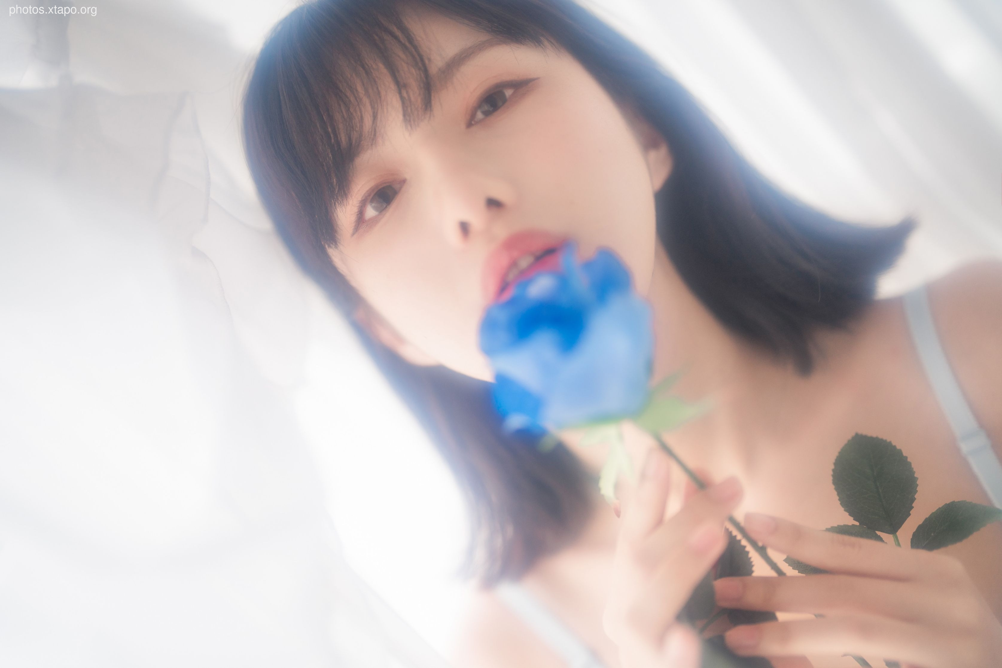 Shika Little Deer -No.78 Swimsuit 63P -107MB