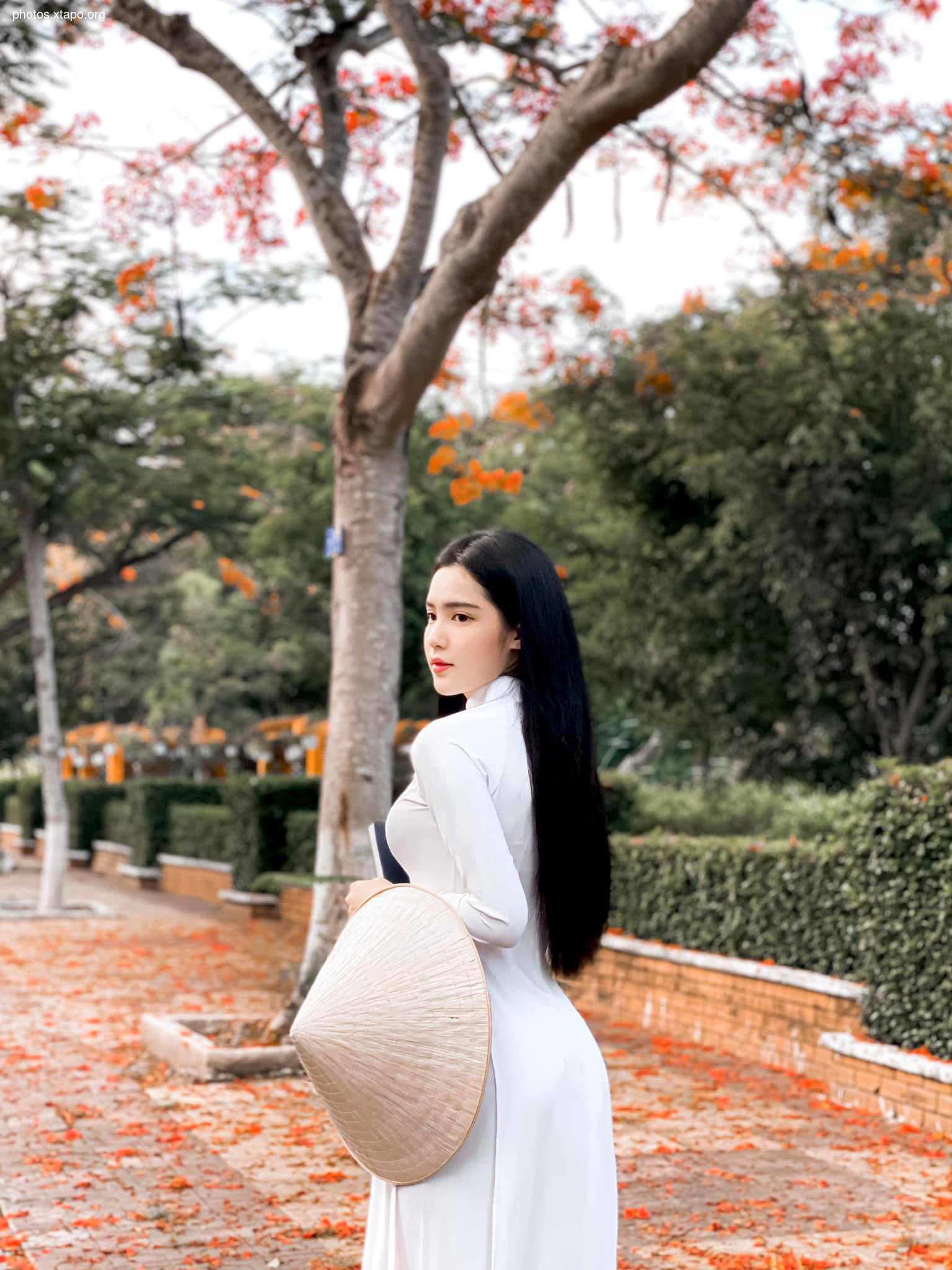 Dinh Trieu Doan Nghi,