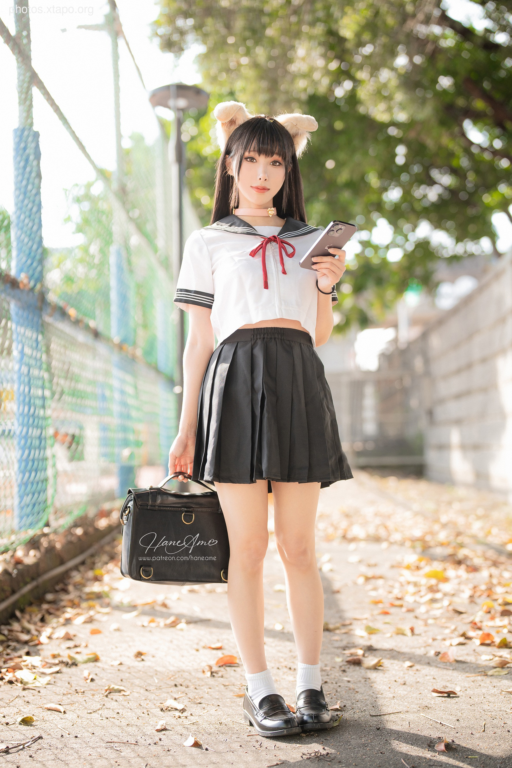 Shiba Inu academic girl Bobo (March 1 reward group resource)