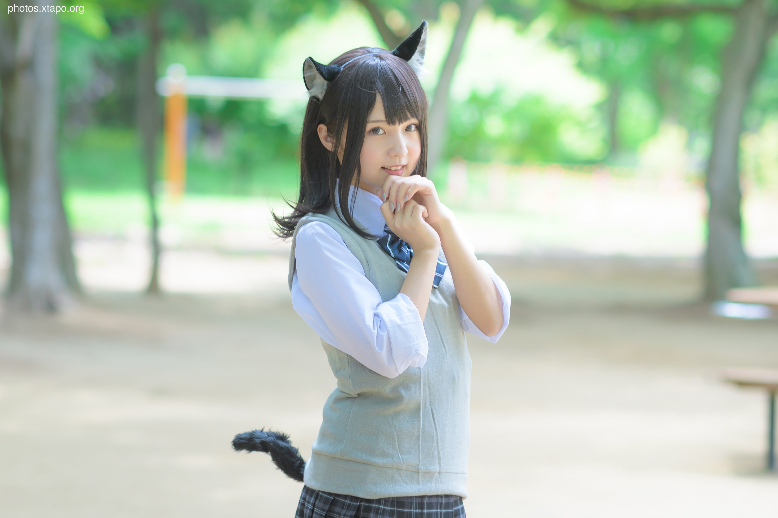 C96 Tofu Factory (Anni Tofu) mamefu Chaton