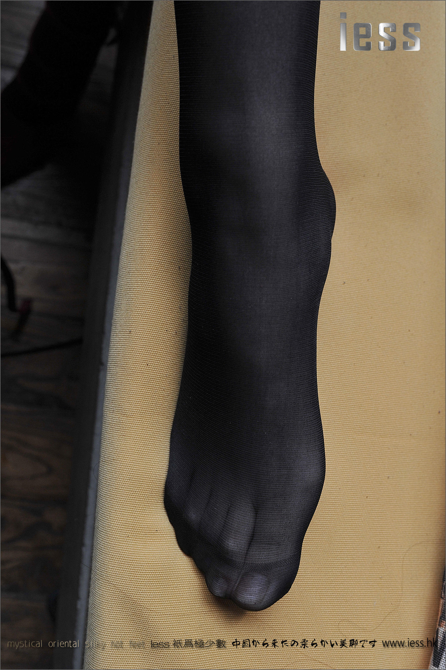 Silk Foot Bento 047 Xiaoxi Girls' Legs (Foot) IESS Thoughts and Fun