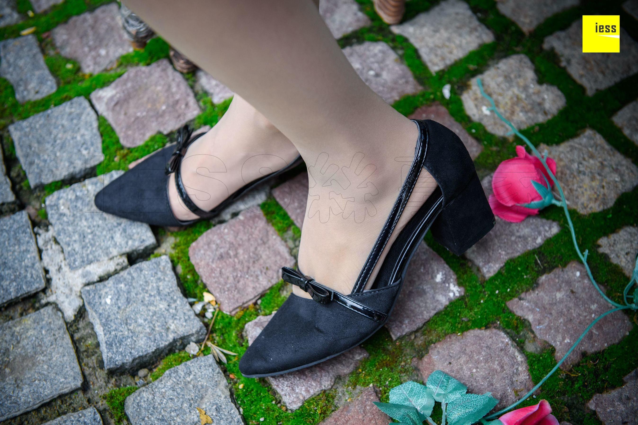 Wan Ping's Rose and Patriarchs Fun Thoughts to IESS Silk Enjoy Home 161