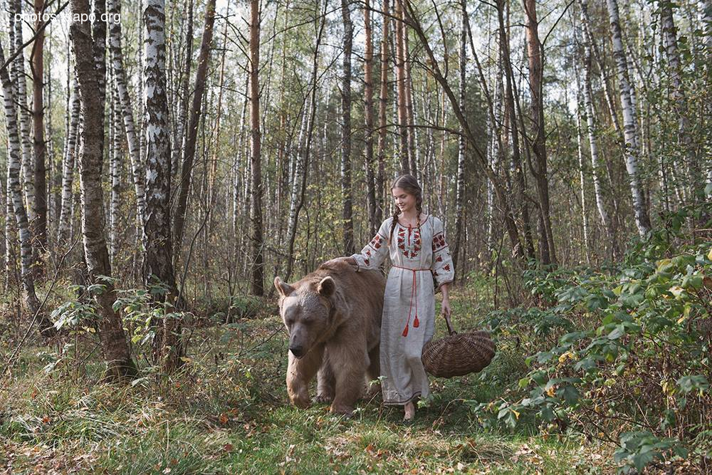 Russia nature, forest and animals by Olga Barantseva