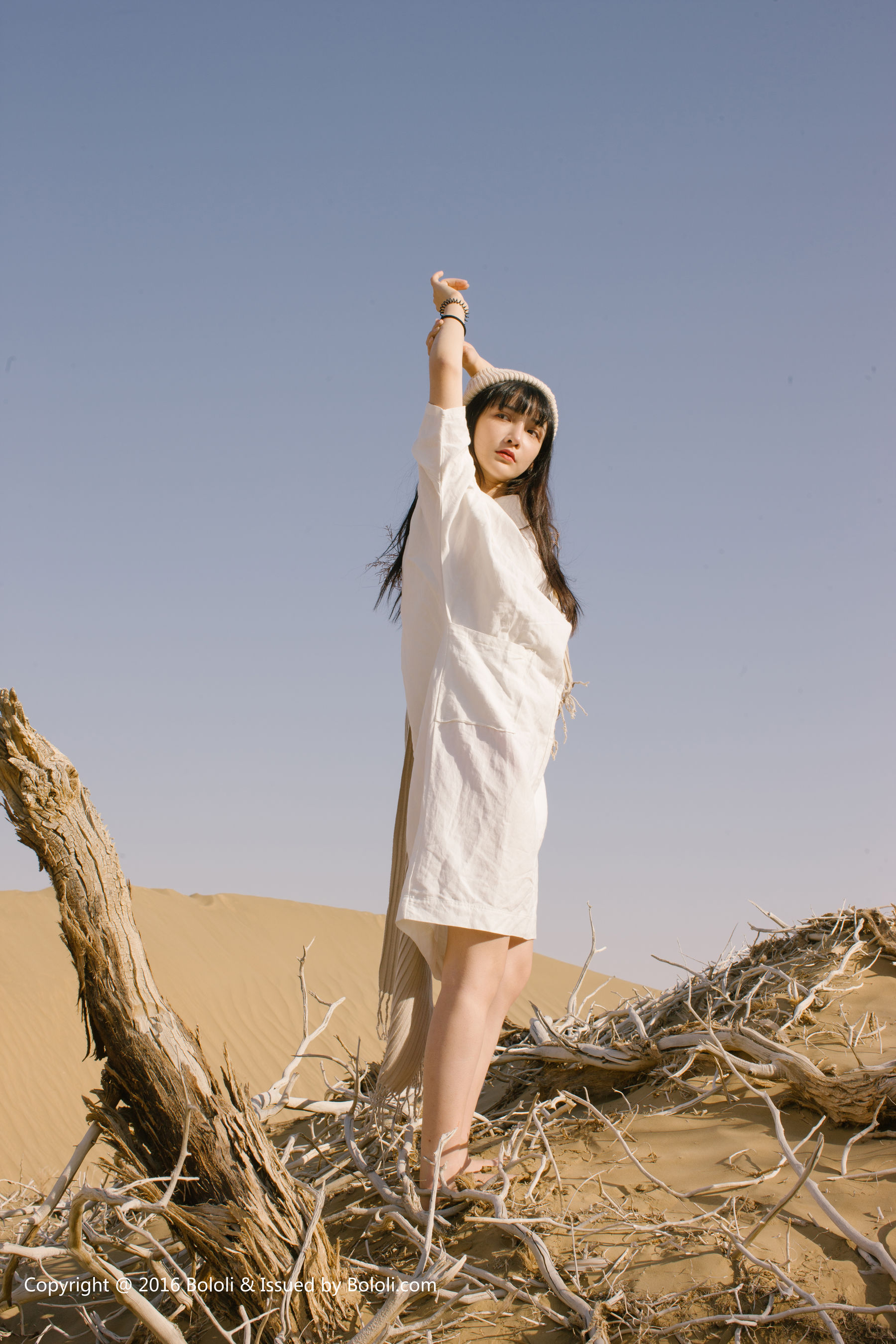 Wang Zhiying Desert Kimoe Que Meng Culture KIM009