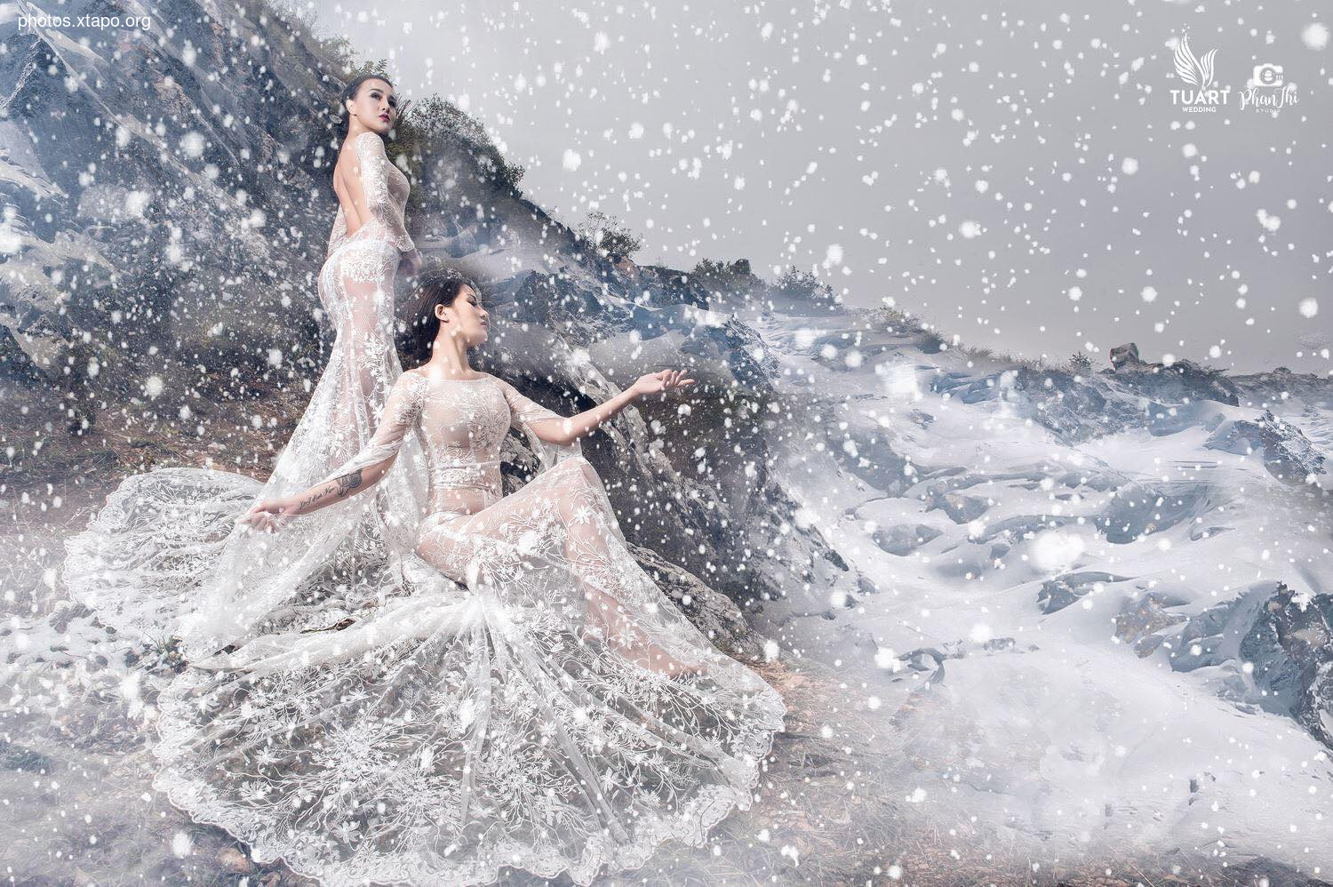 Tuyet Son Phi Ho, - Absolute Coc Coc V2 by Tuart