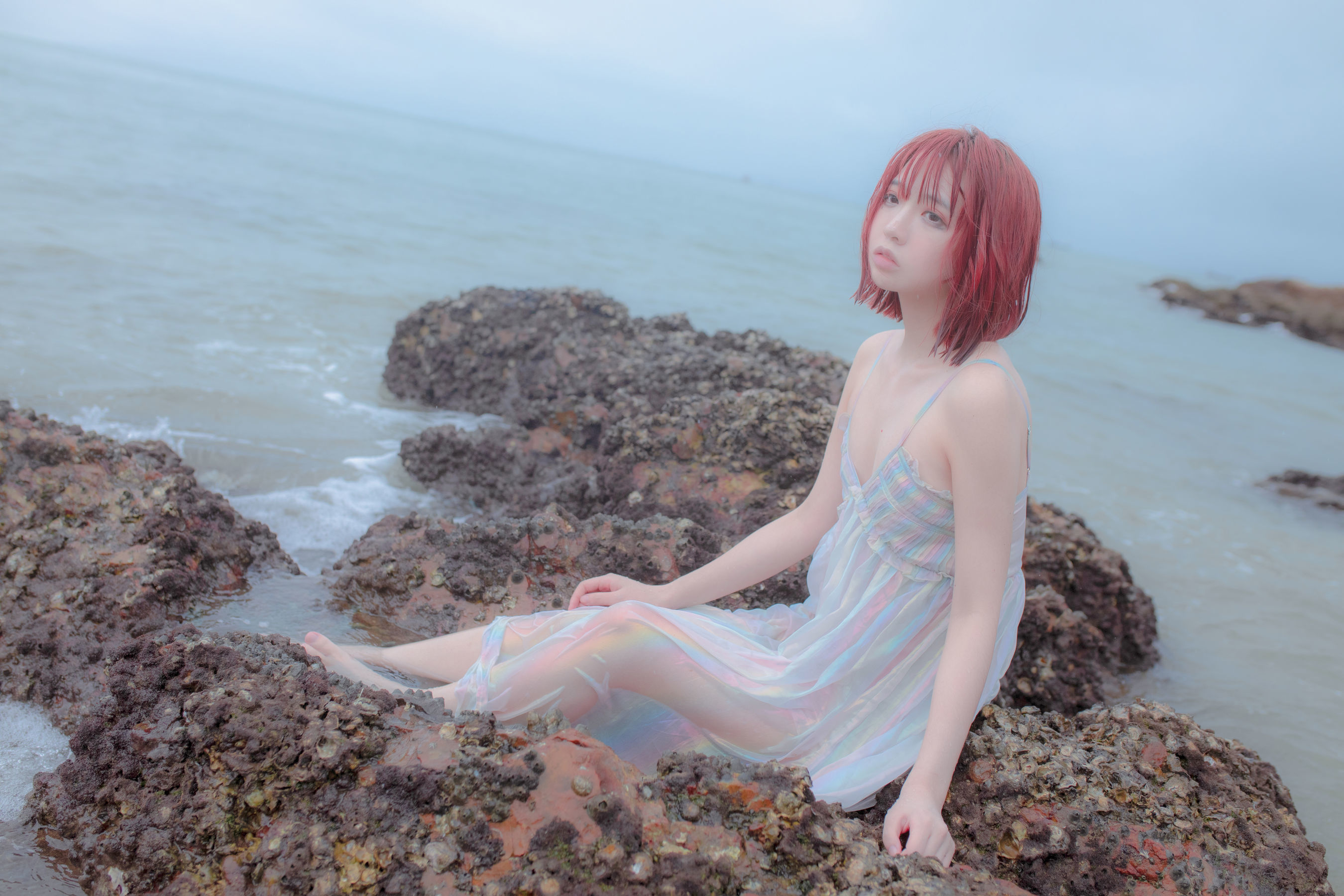 Net Red Coser Crazy Cat SS -Reef Mirror of Thinking