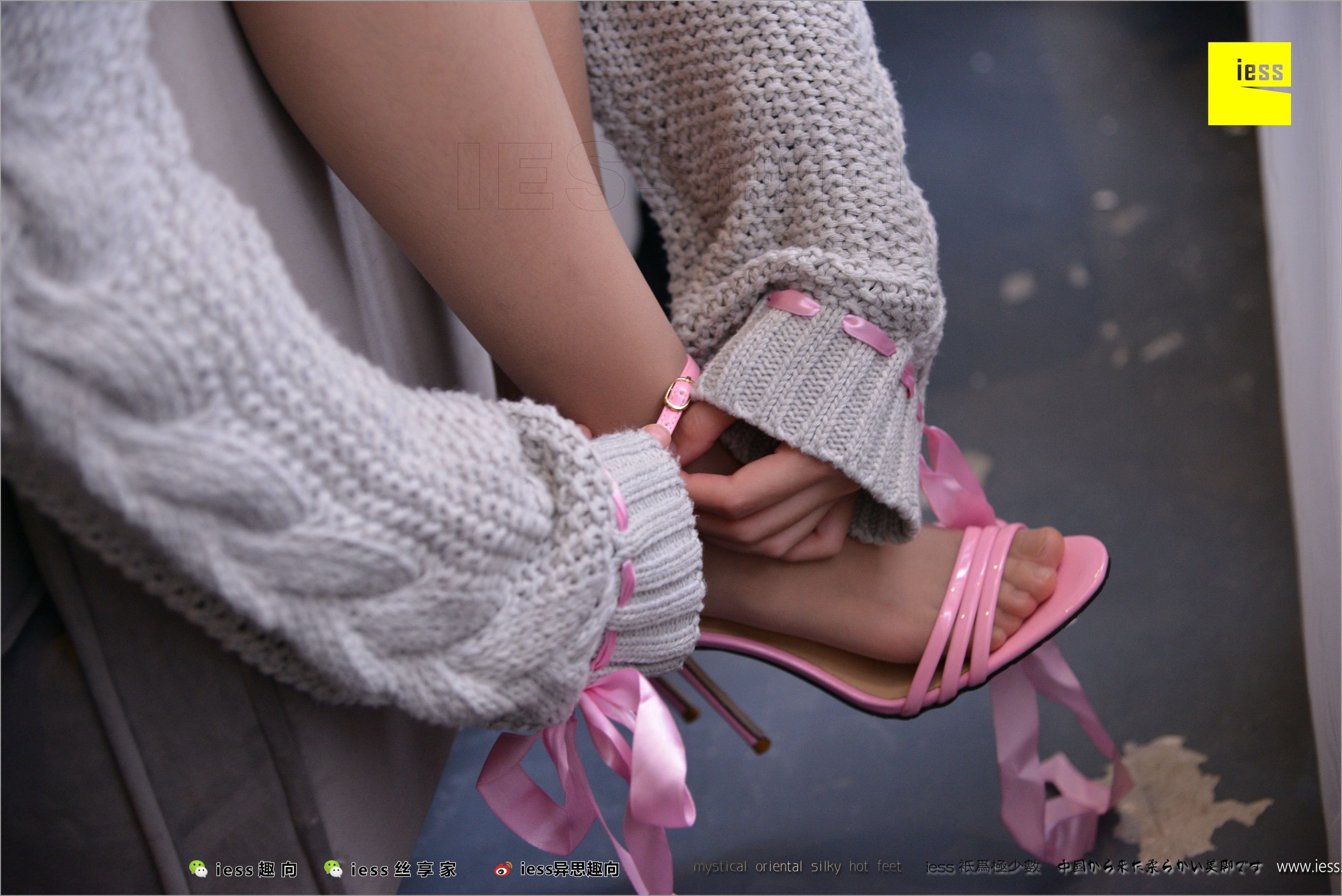 Xingzi Sao Fan Different Thoughts to IESS Silk Foot Bento 206