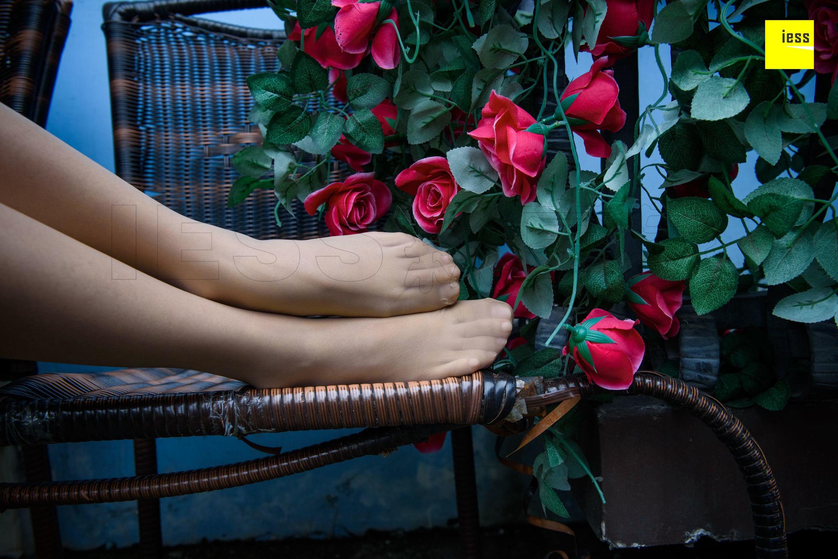 Wan Ping's Rose and Patriarchs Fun Thoughts to IESS Silk Enjoy Home 161