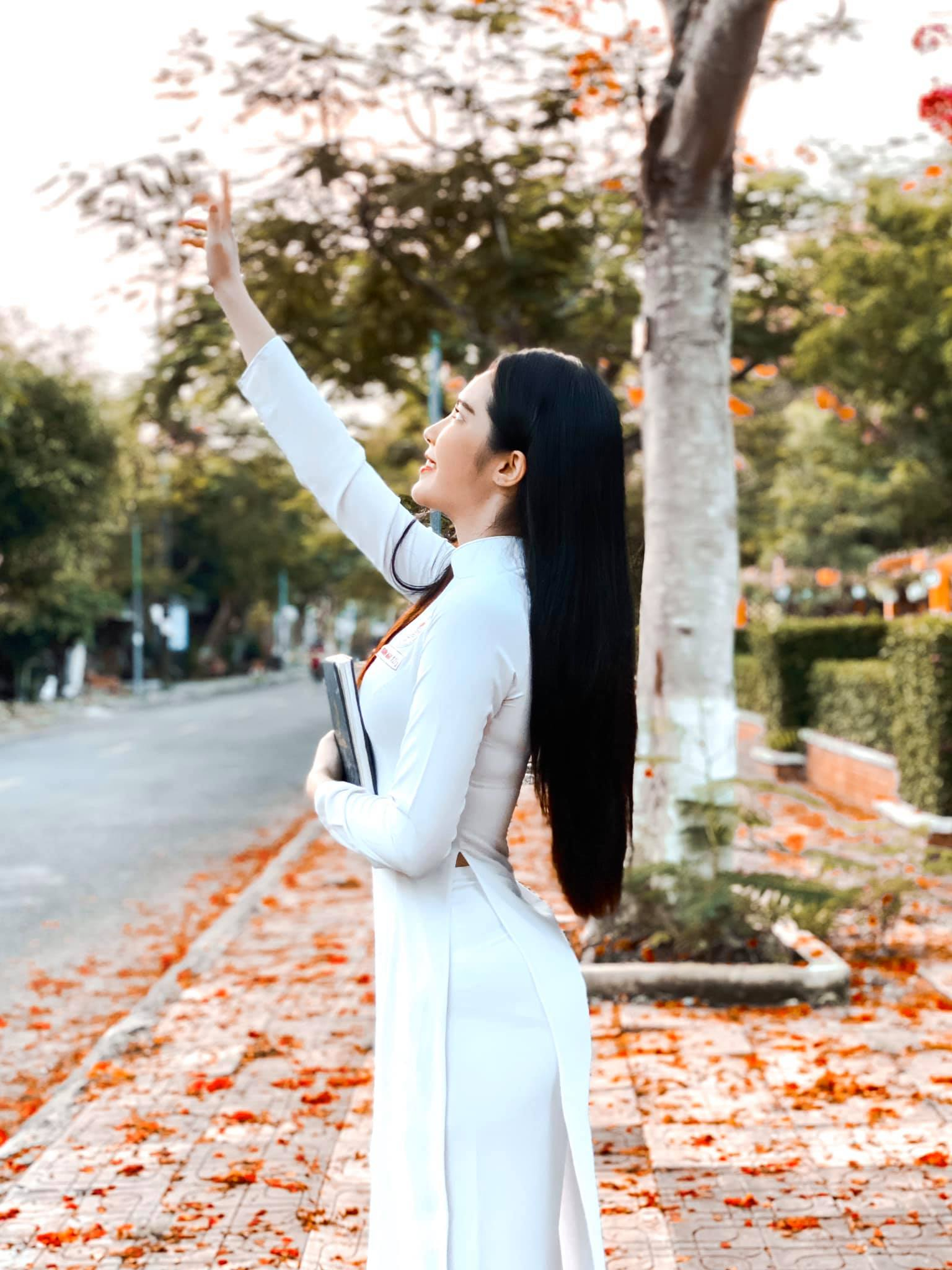 Dinh Trieu Doan Nghi,