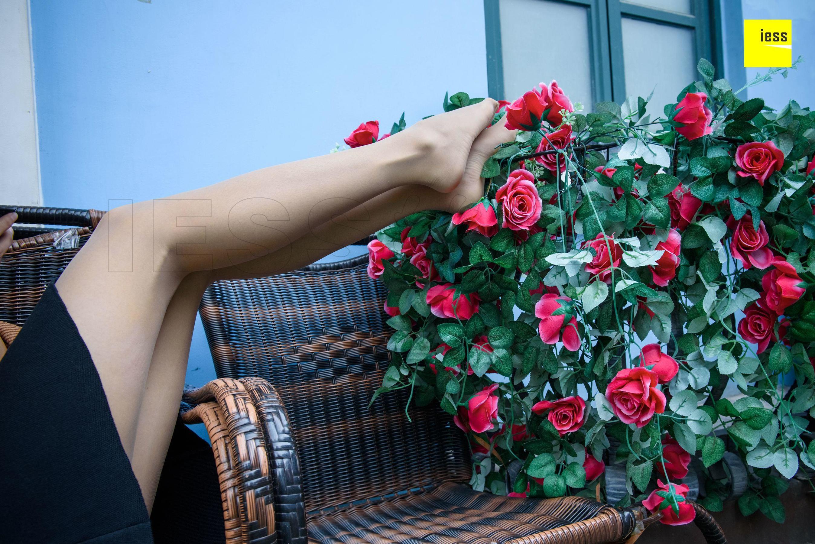 Wan Ping's Rose and Patriarchs Fun Thoughts to IESS Silk Enjoy Home 161