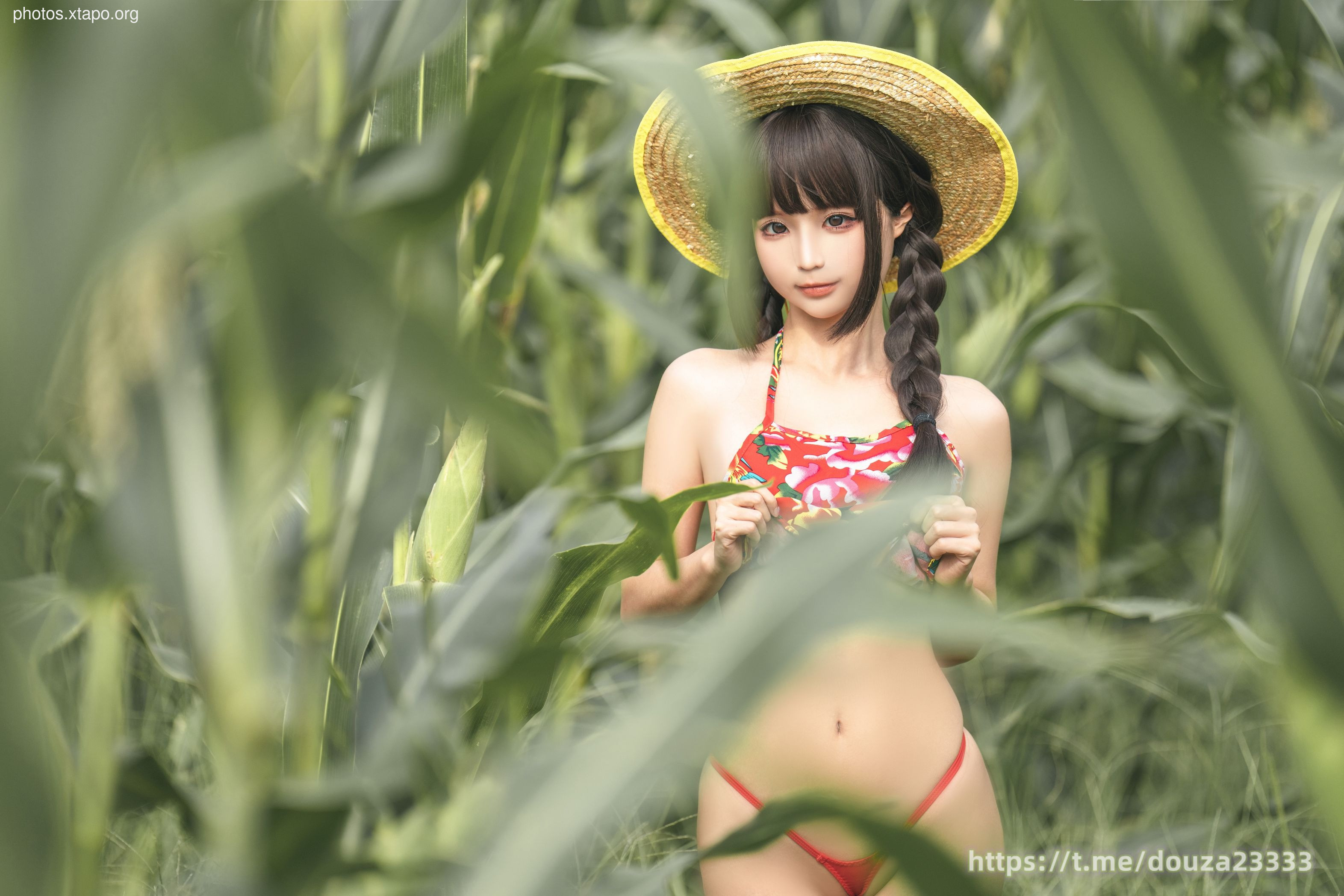 Story of Stupid Momo Rice Land (September 11th Member Resources)