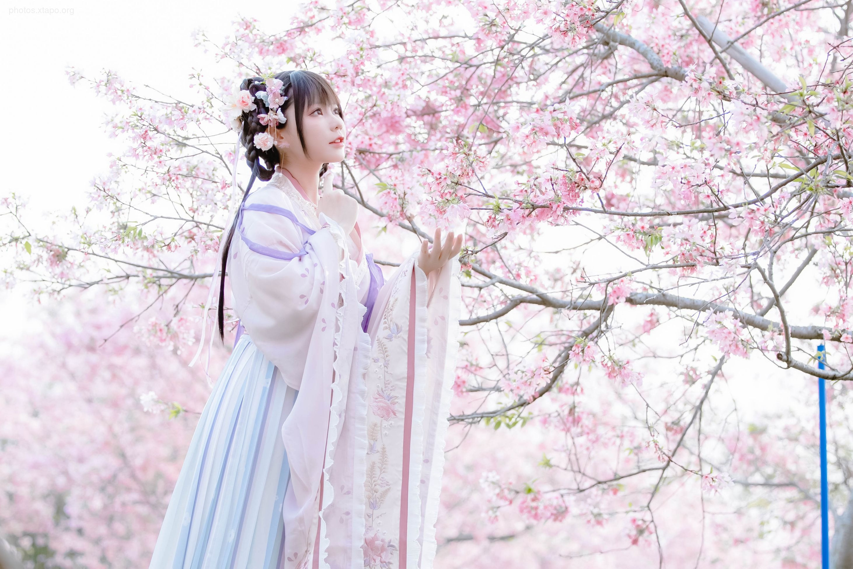 Nyako - Sakura Hanfu Flower God Prayers 52P-219MB