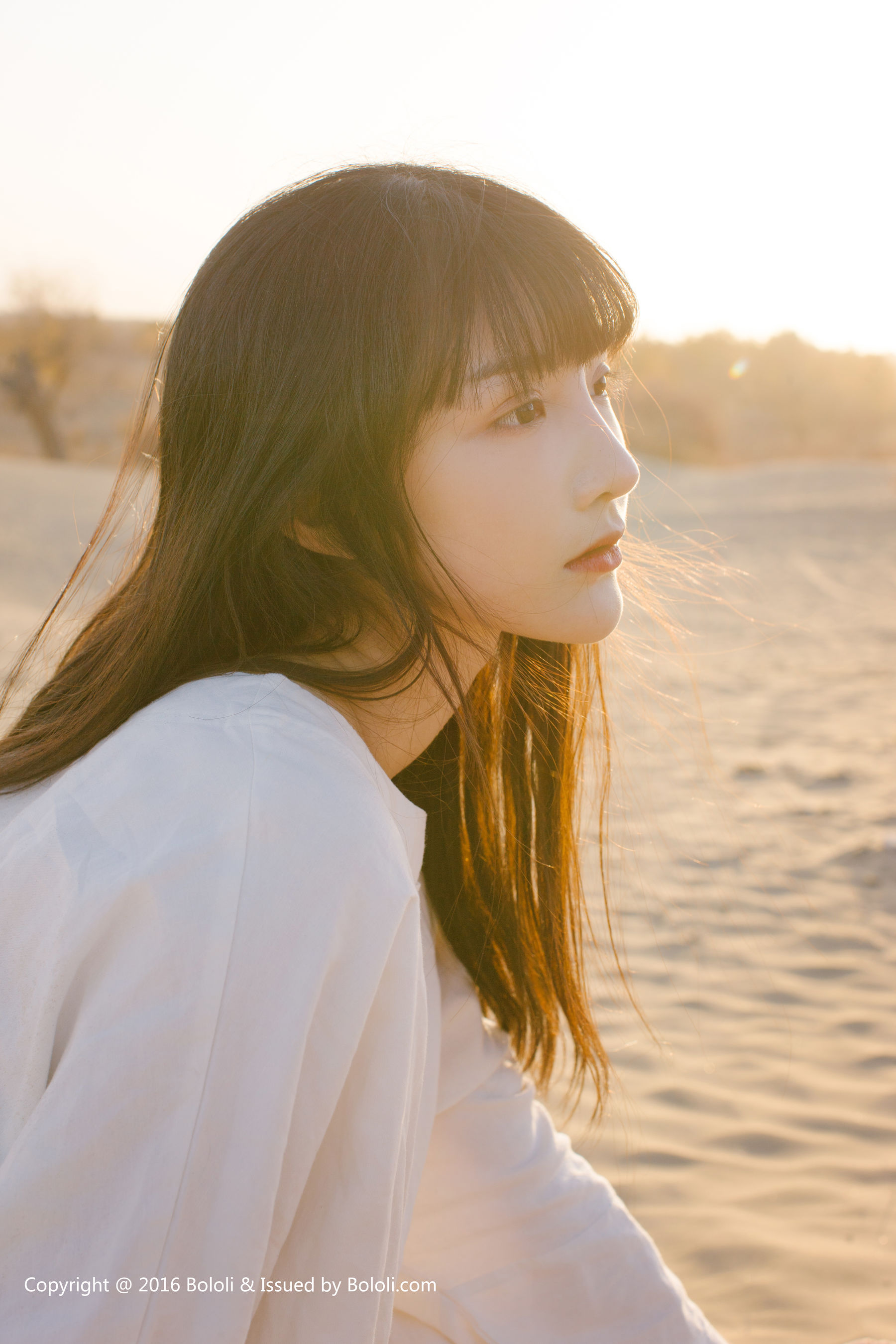 Wang Zhiying Desert Kimoe Que Meng Culture KIM009