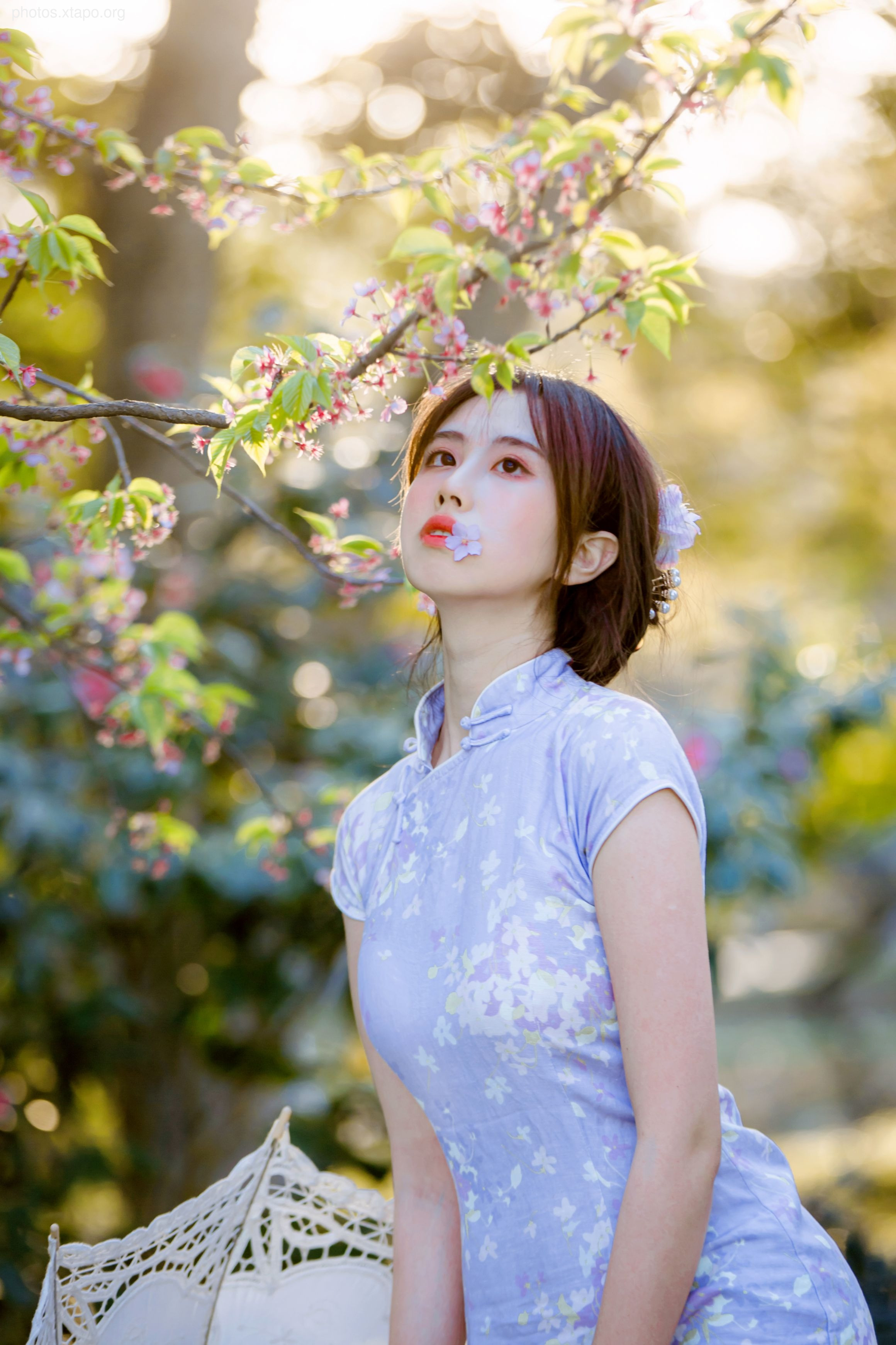 NO.026 Cheongsam 38P-377MB