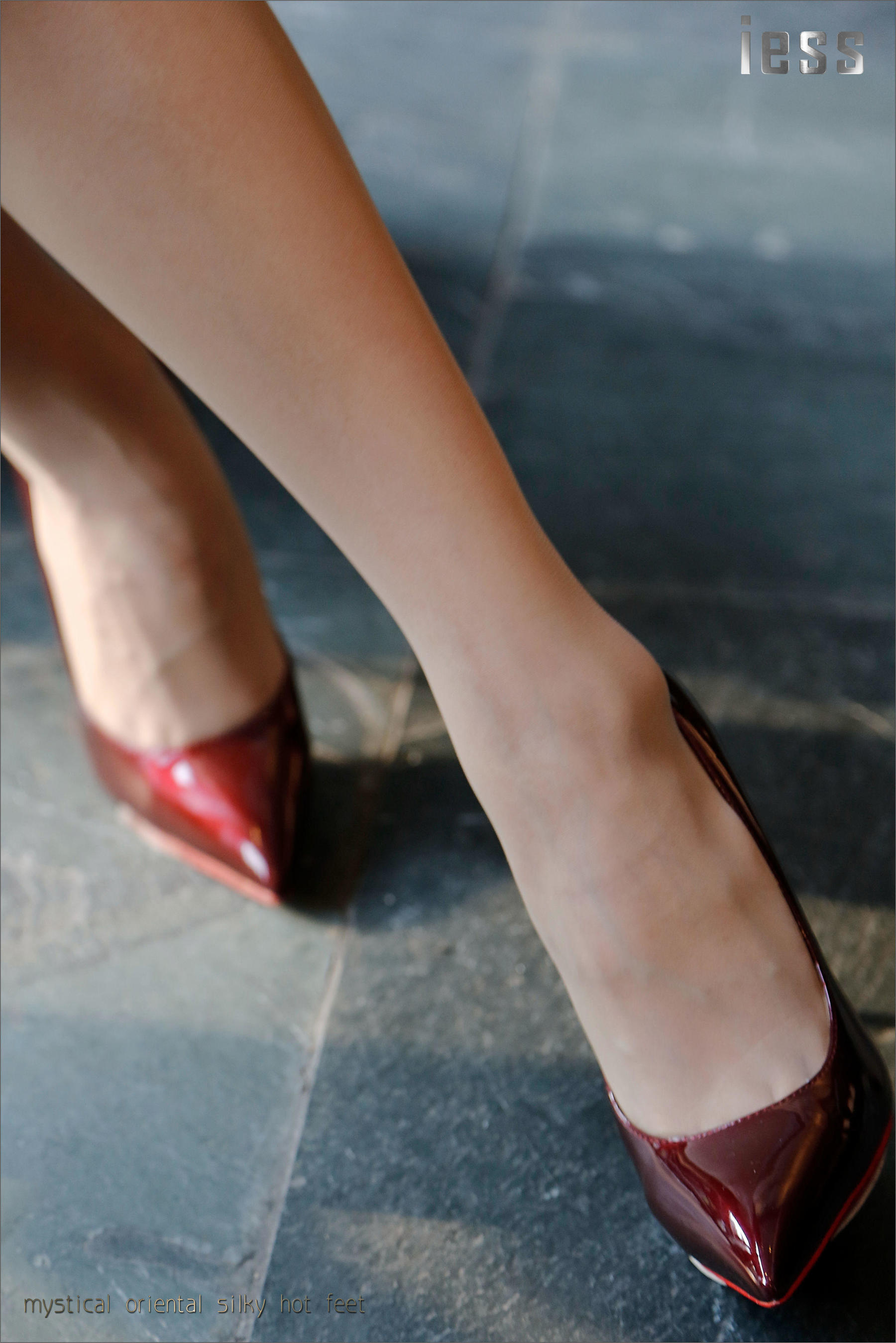 Silk Foot Bento 026 SASA Wlyphs of Pork IESS Different Funbian