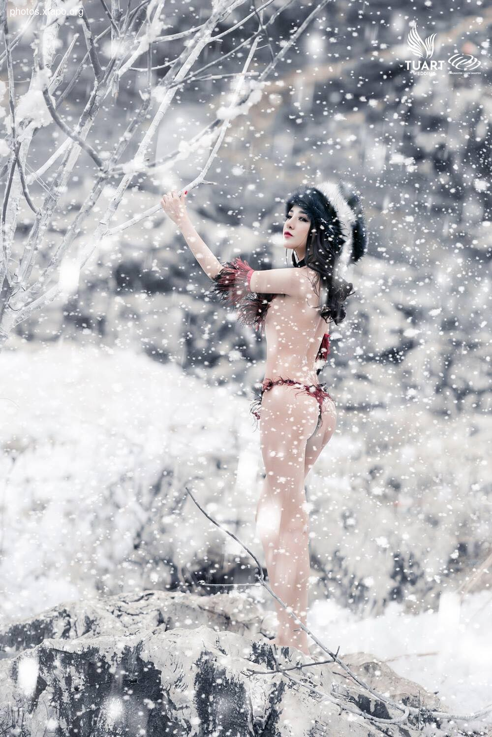 Tuyet Son Phi Ho, - Absolute Coc Coc V2 by Tuart