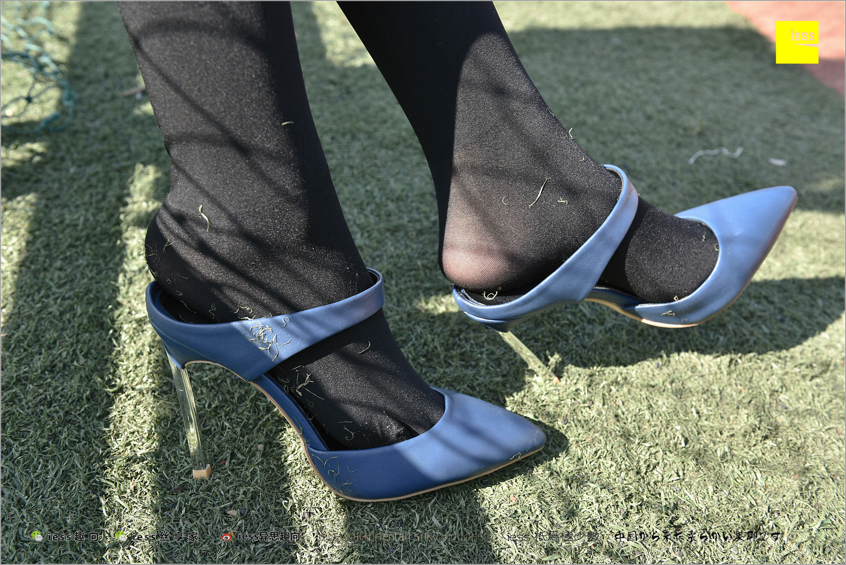 Silk Foot Bento 182 The Thick Black Silk Temptation of Thick Black Silk