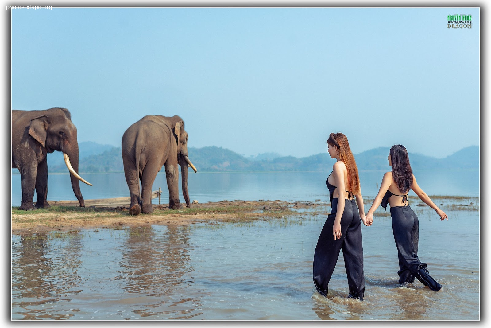 Thao Chi vs Kim Phung,