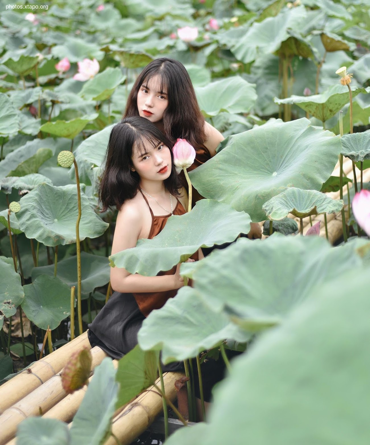 Twins Nguyen Thanh Nga Nguyen Thanh Hang,