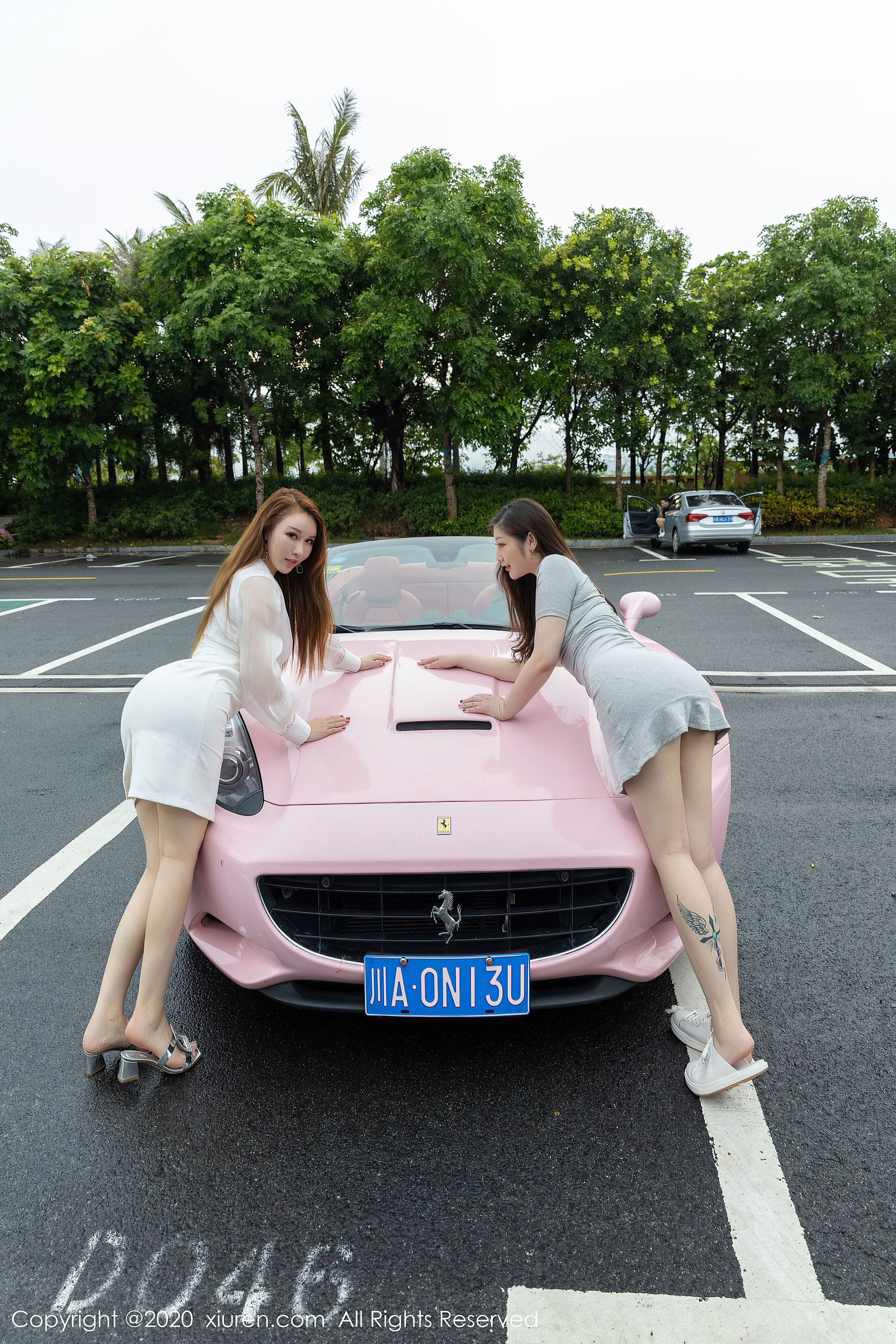 Xiuren 2641 Egg Toxic