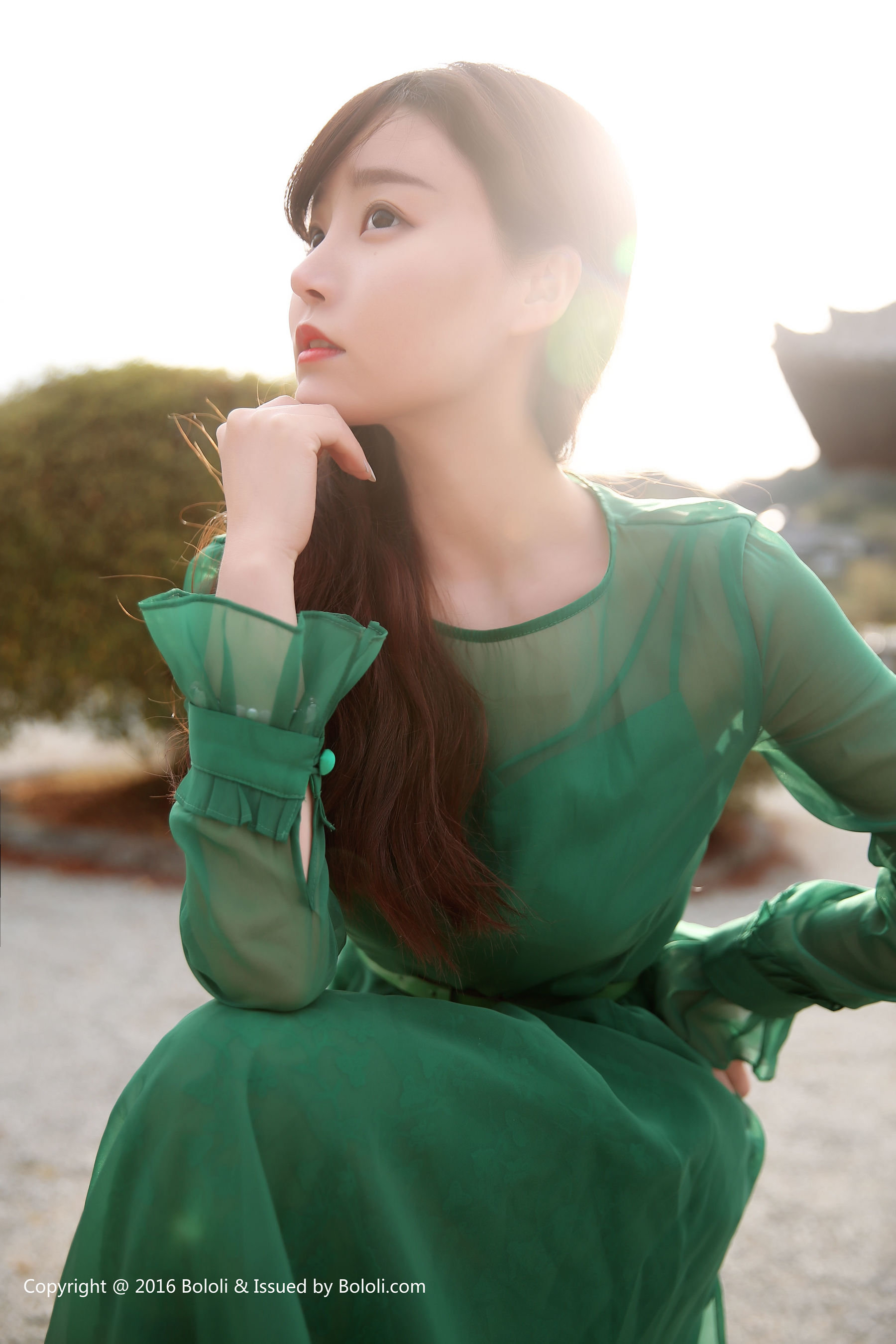 Liu Yanqi Seven Treasures Japanese Travel Special Bololi Polo Society bol.011