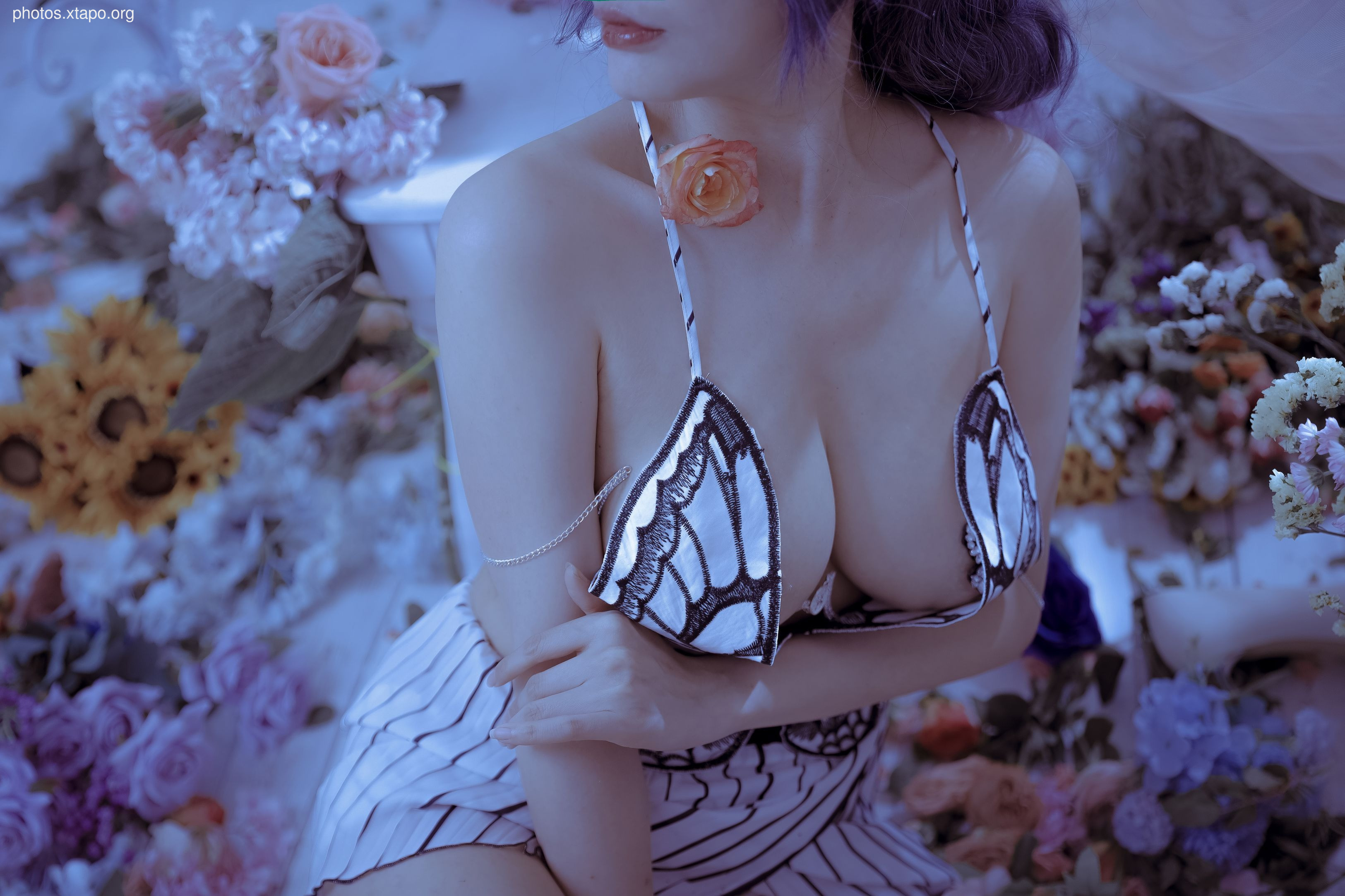 Autumn and Corgi -Mrs. Butterfly 61P1V1.2G