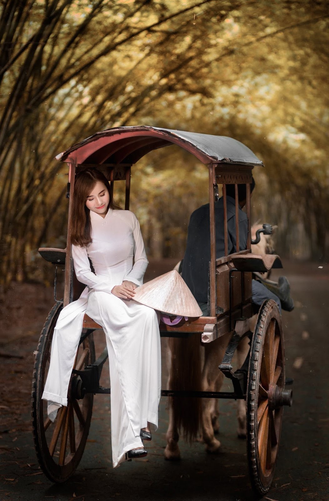 Top 100 most beautiful long dresses in Vietnam