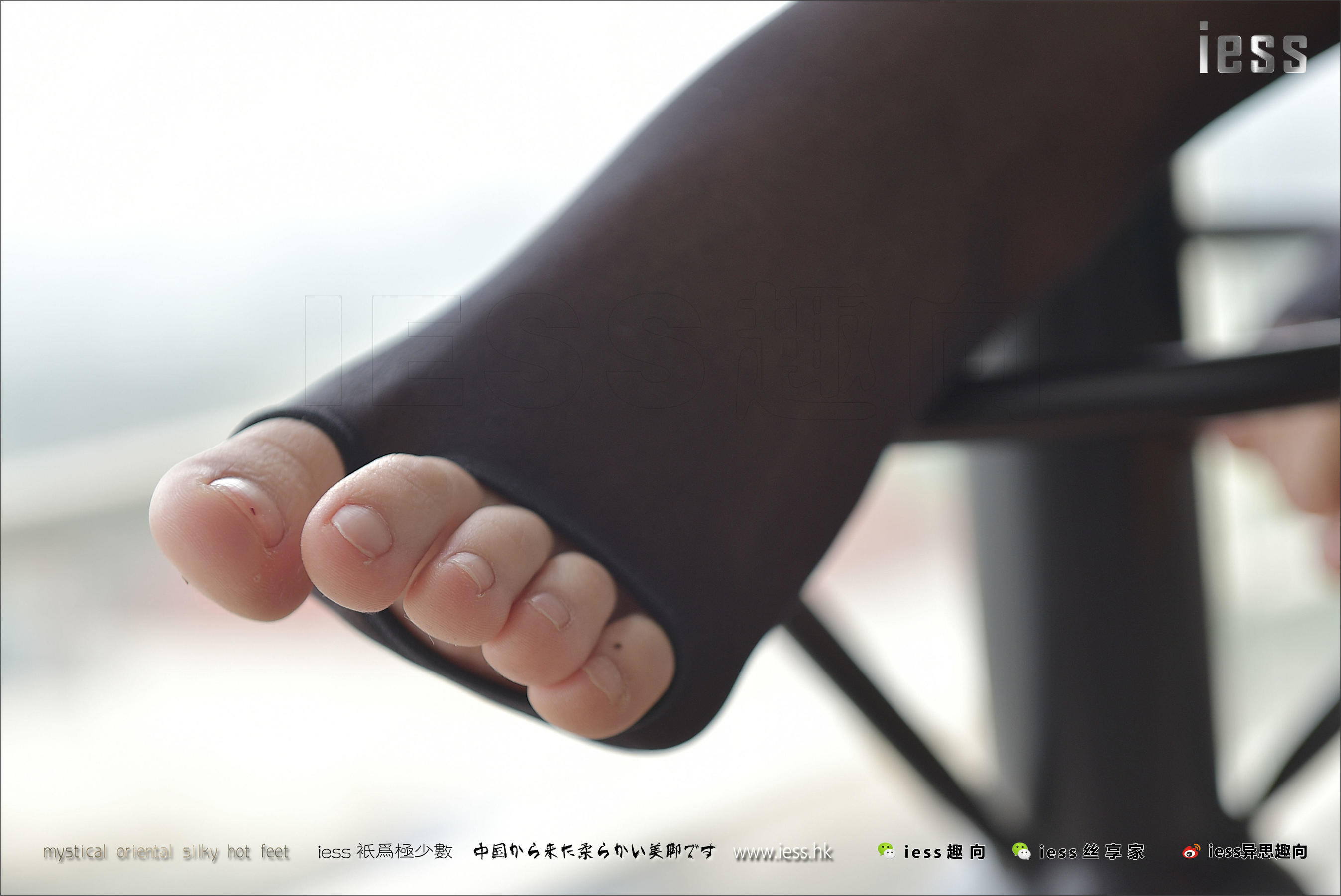 130 Zhang Foot Bento The Ballet of the Foot IESS Thoughts and Interesting