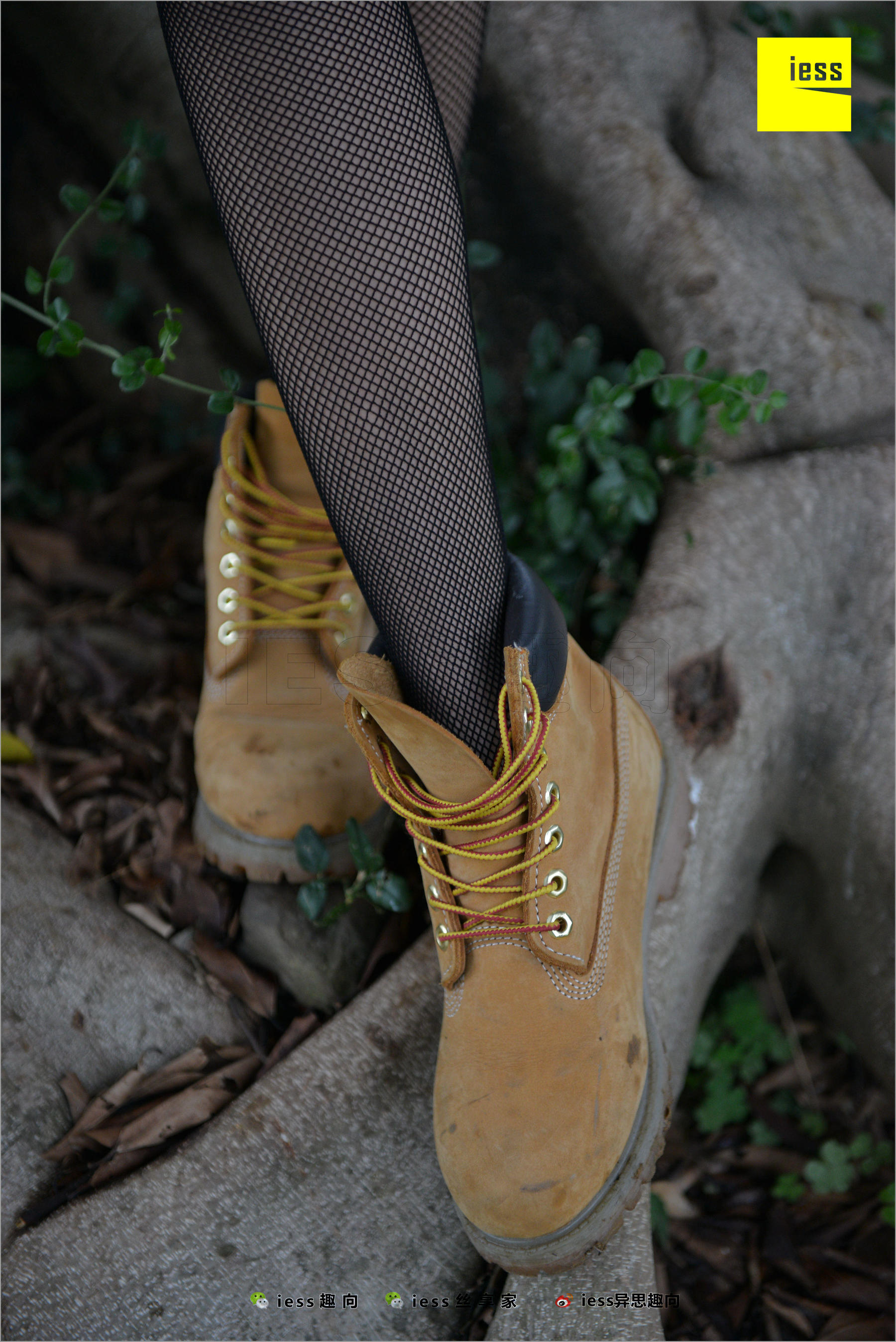Xiaoxiao's Eye Socks that goes astray Different Thoughts to IESS Silk Foot Bento 233